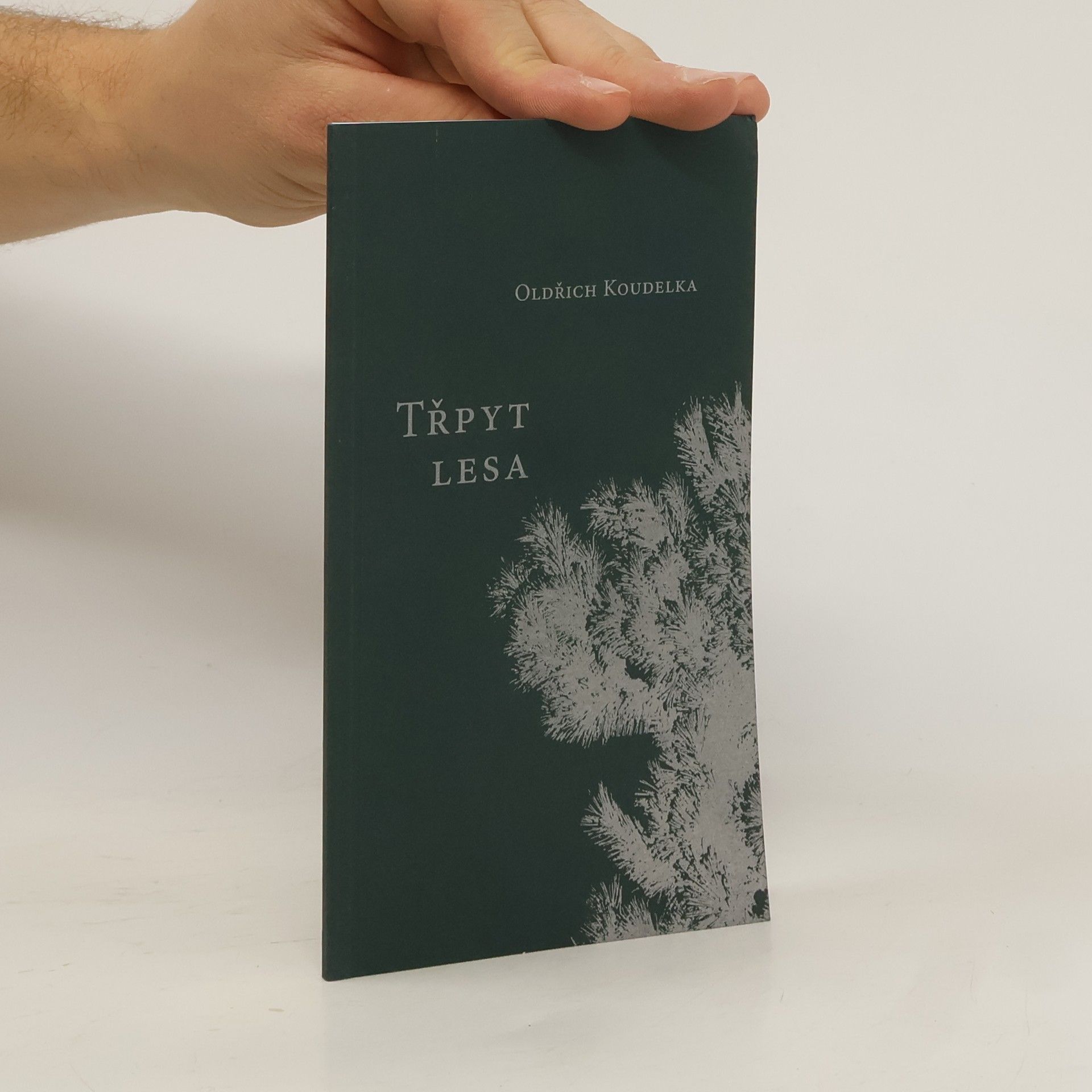 Oldřich Koudelka Třpyt lesa