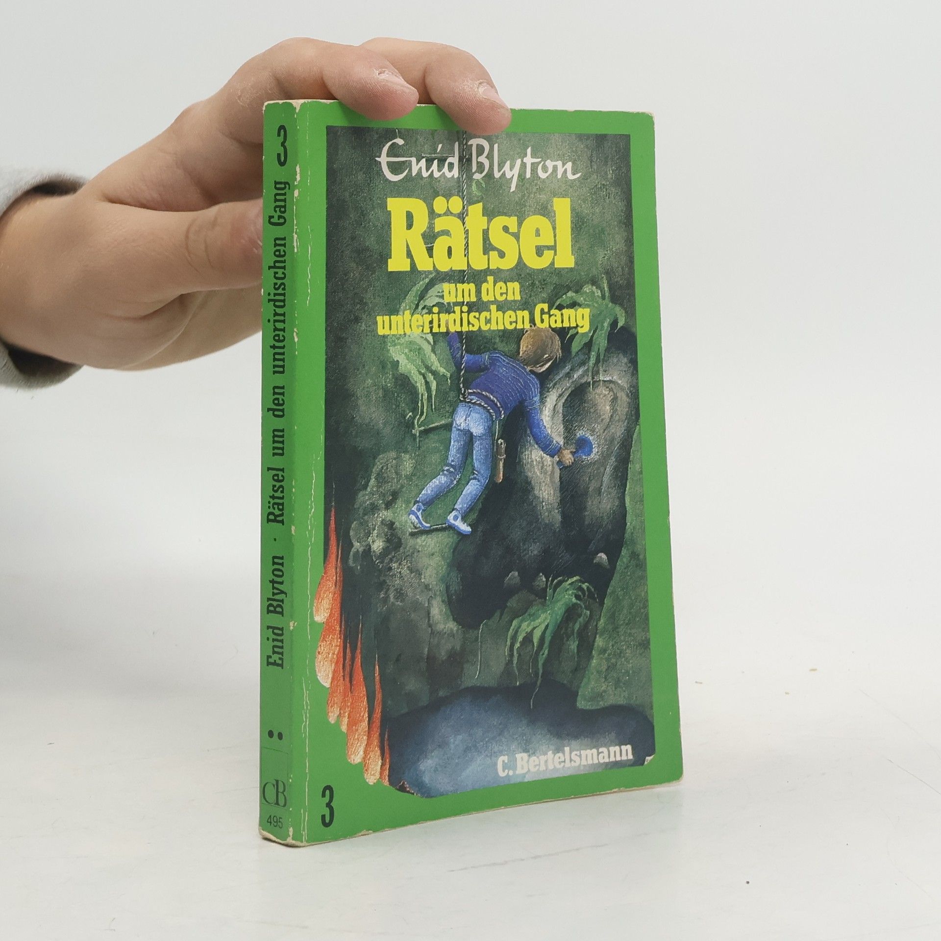 Enid Blyton Die Rätsel 3