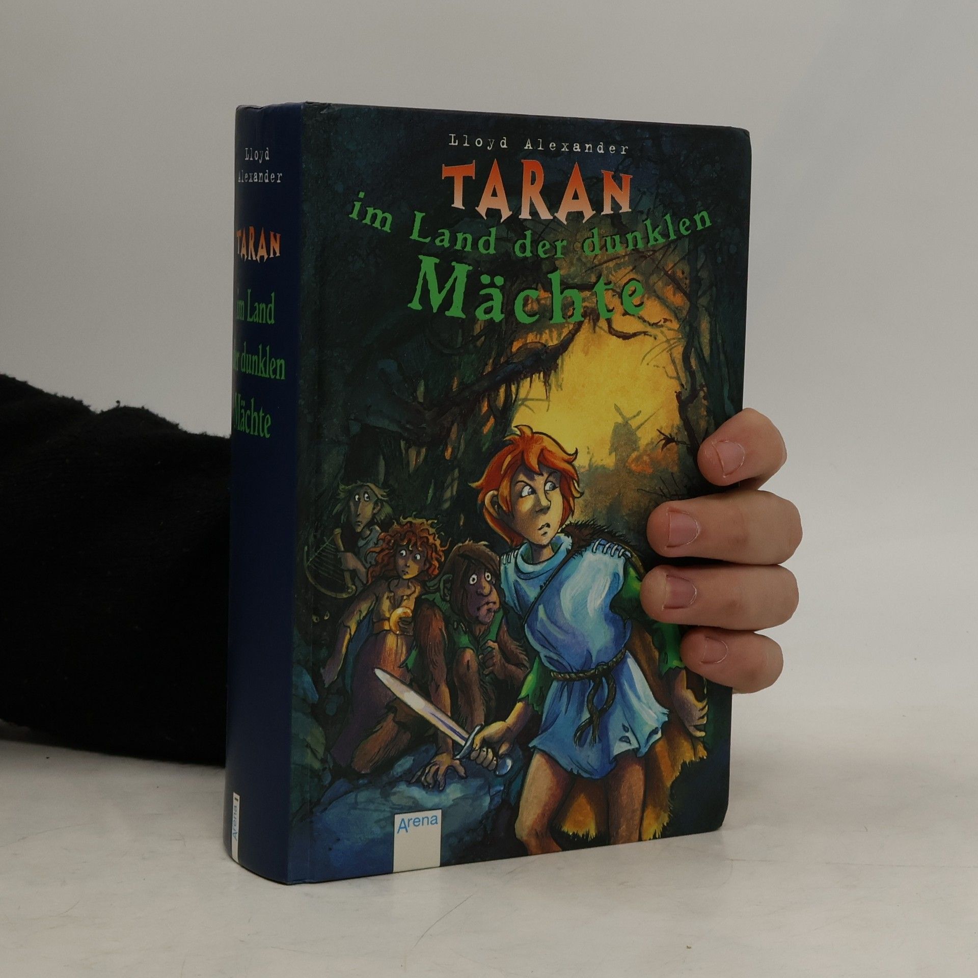 Taran im Land der dunklen Mächte