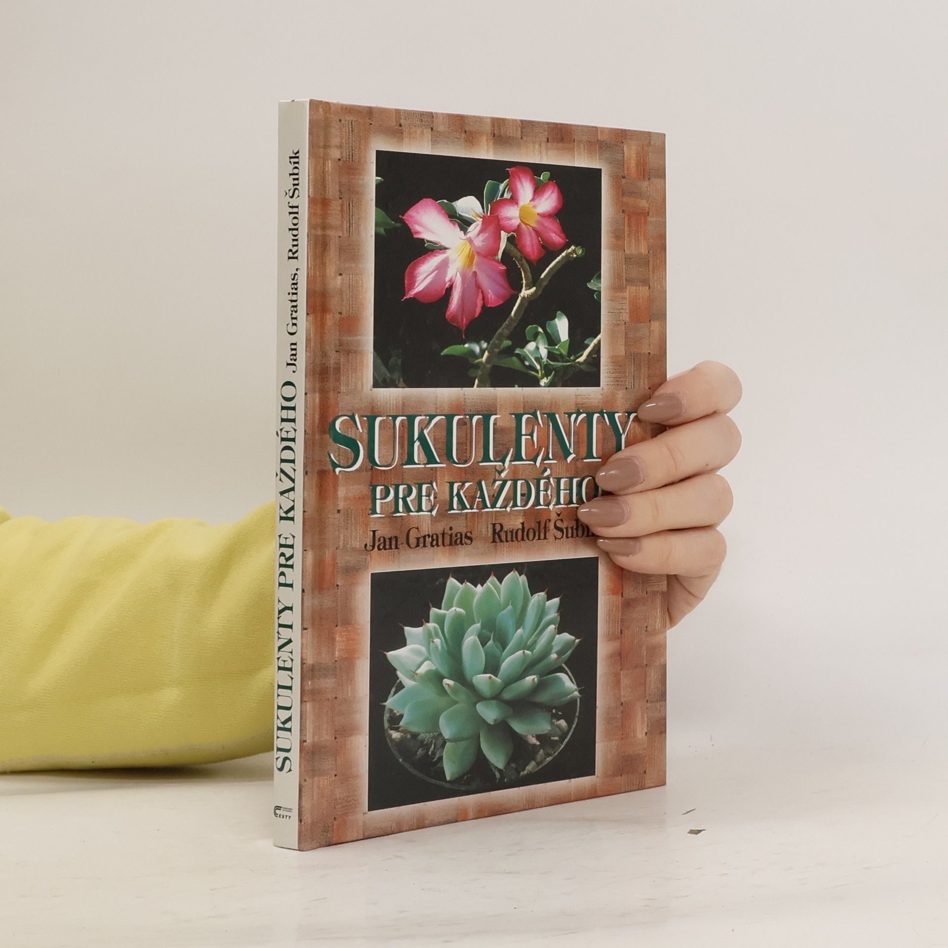 Sukulenty pre každého