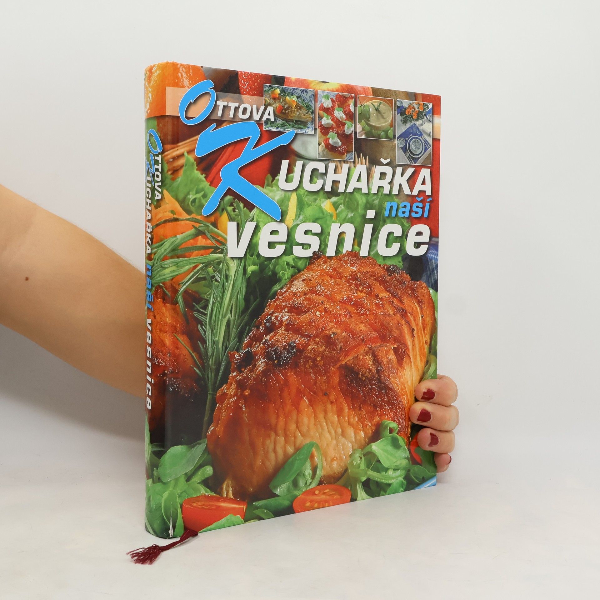 Hana Sedláčková Ottova kuchařka naší vesnice