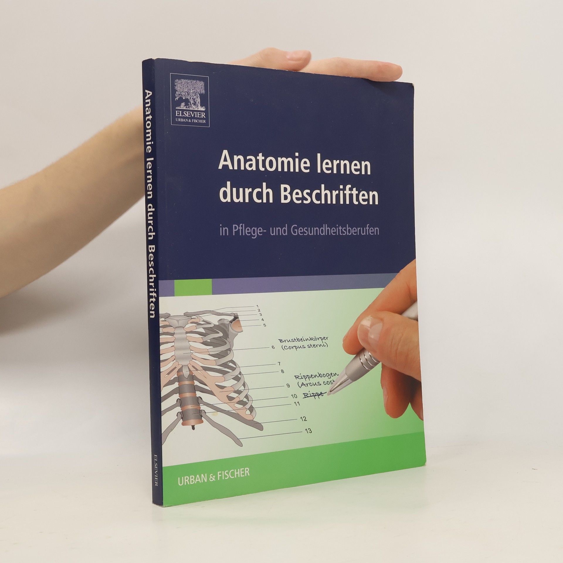 Anna-Marie Salaja Anatomie lernen durch Beschriften