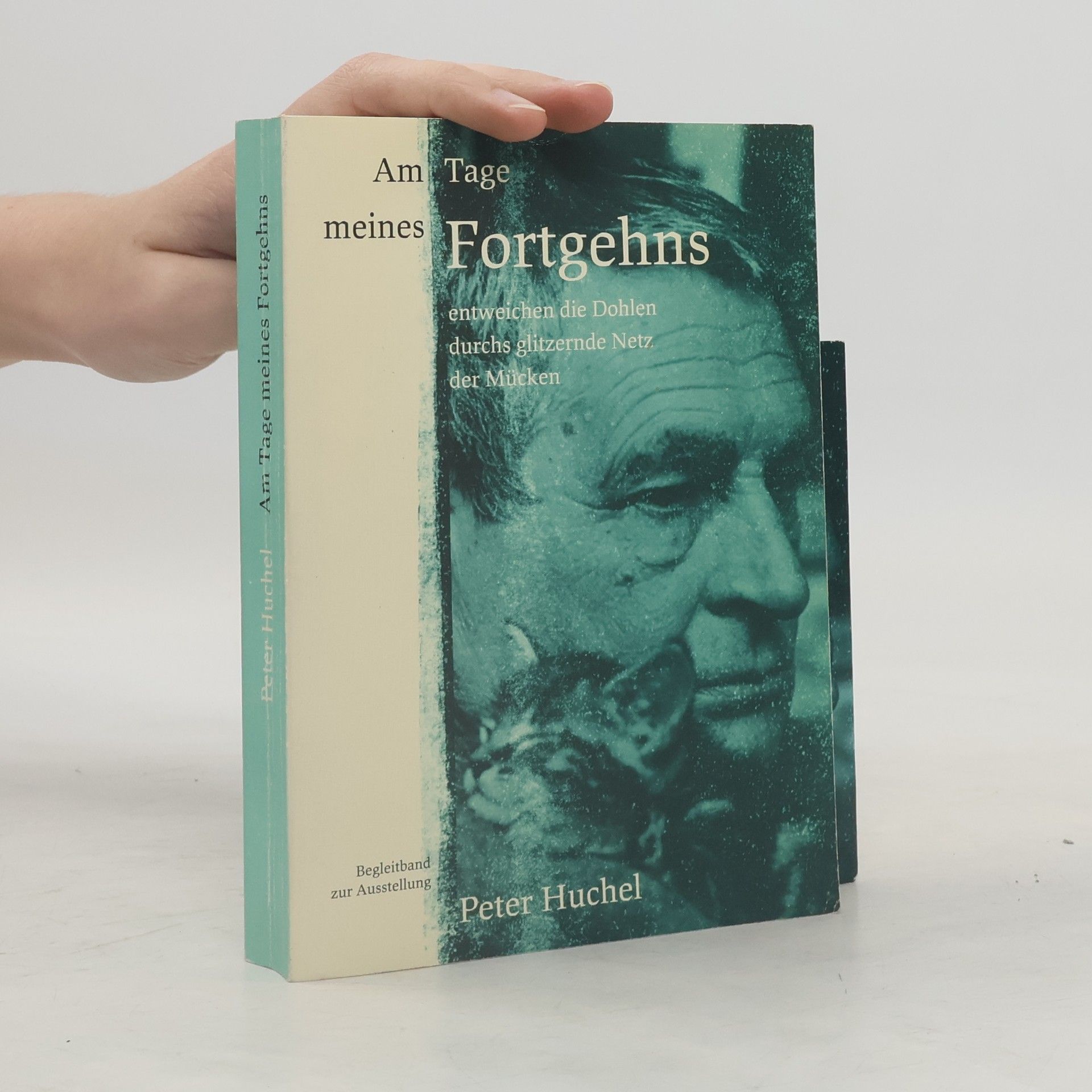 Peter Huchel Am Tage meines Fortgehns