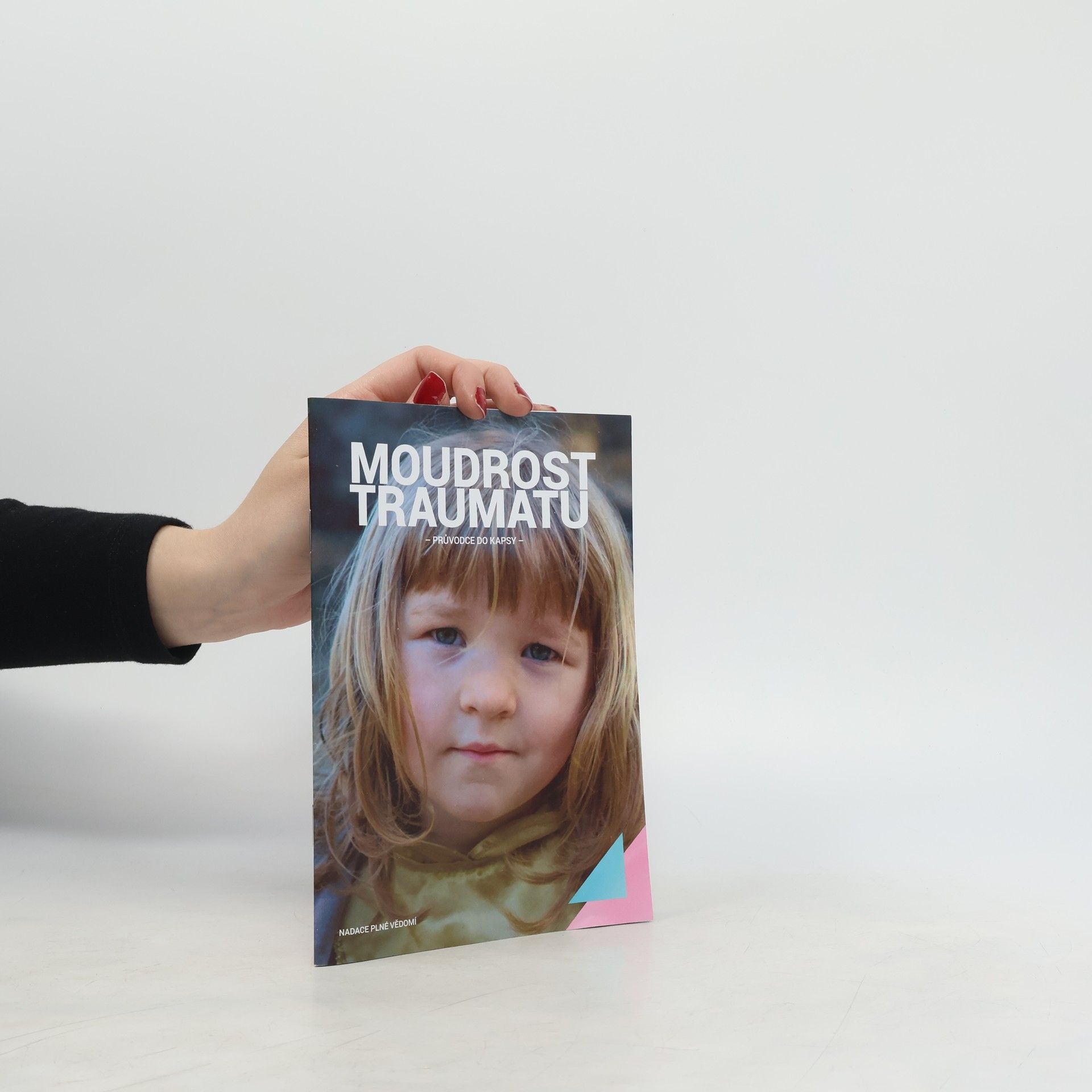 Kolektiv autorů Moudrost traumatu