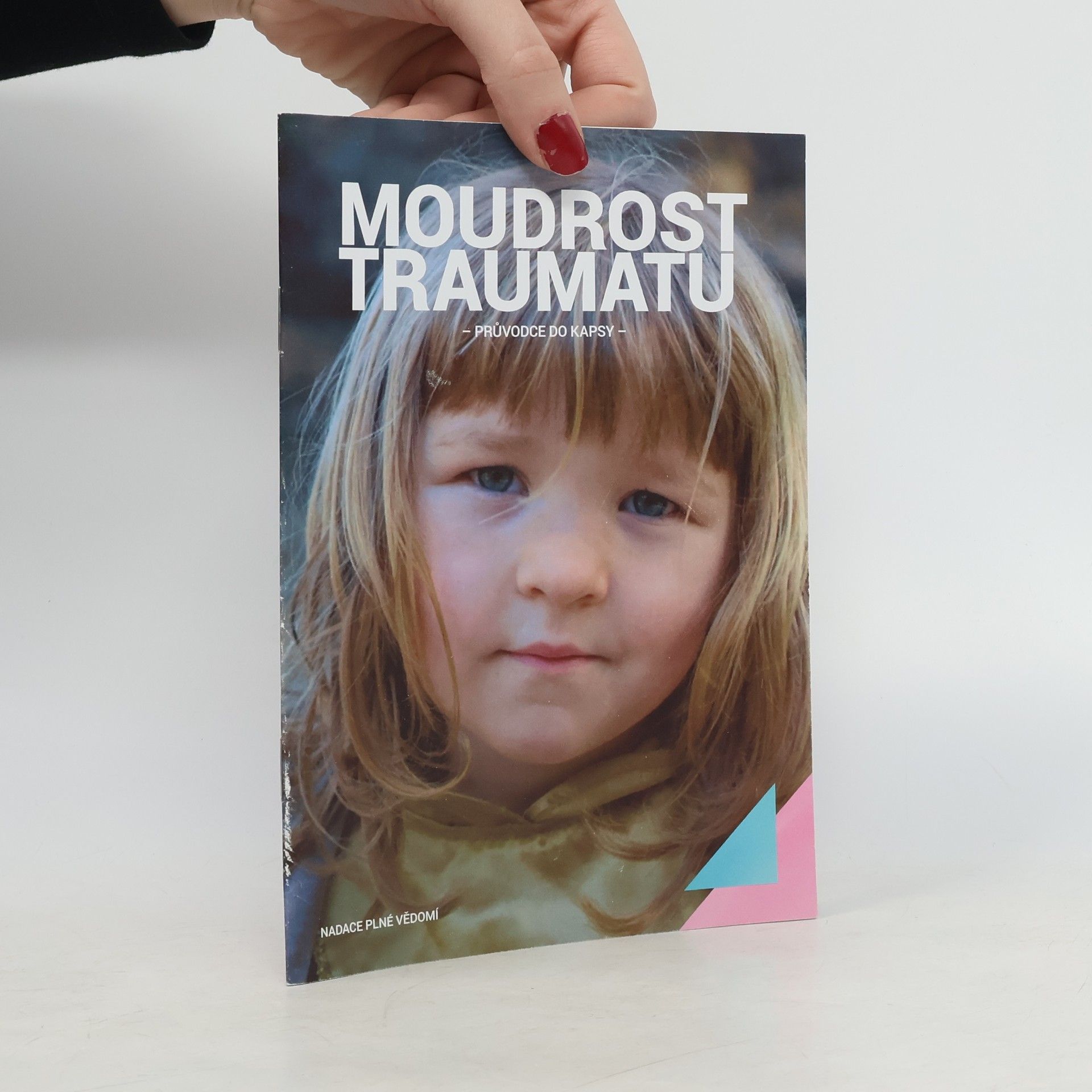 Kolektiv autorů Moudrost traumatu