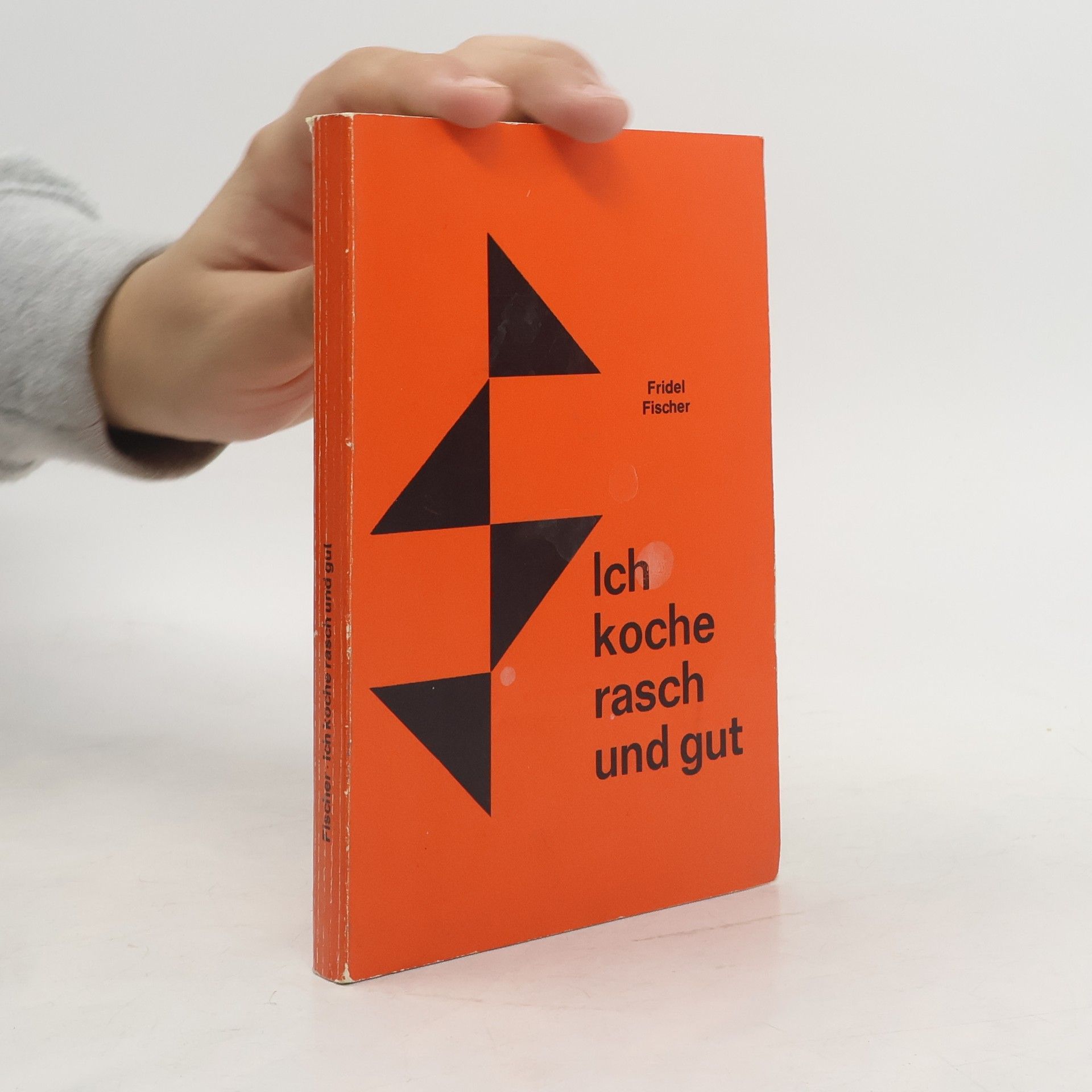 Fridel Fischer Ich koche rasch und gut