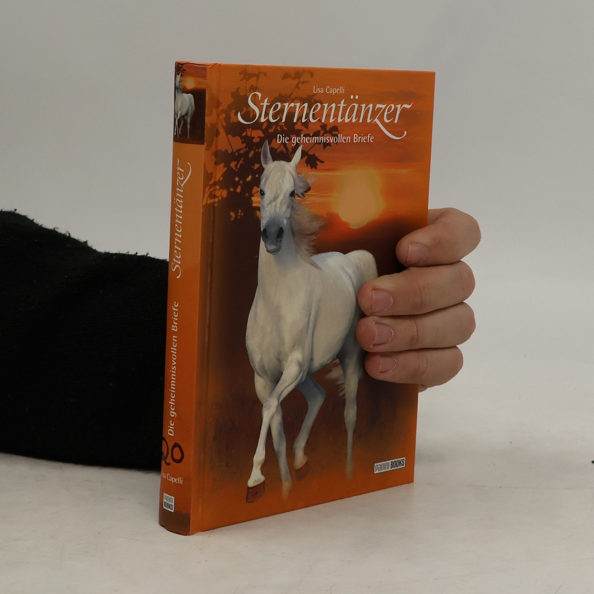 Lisa Capelli Sternentänzer - Die geheimnisvollen Briefe