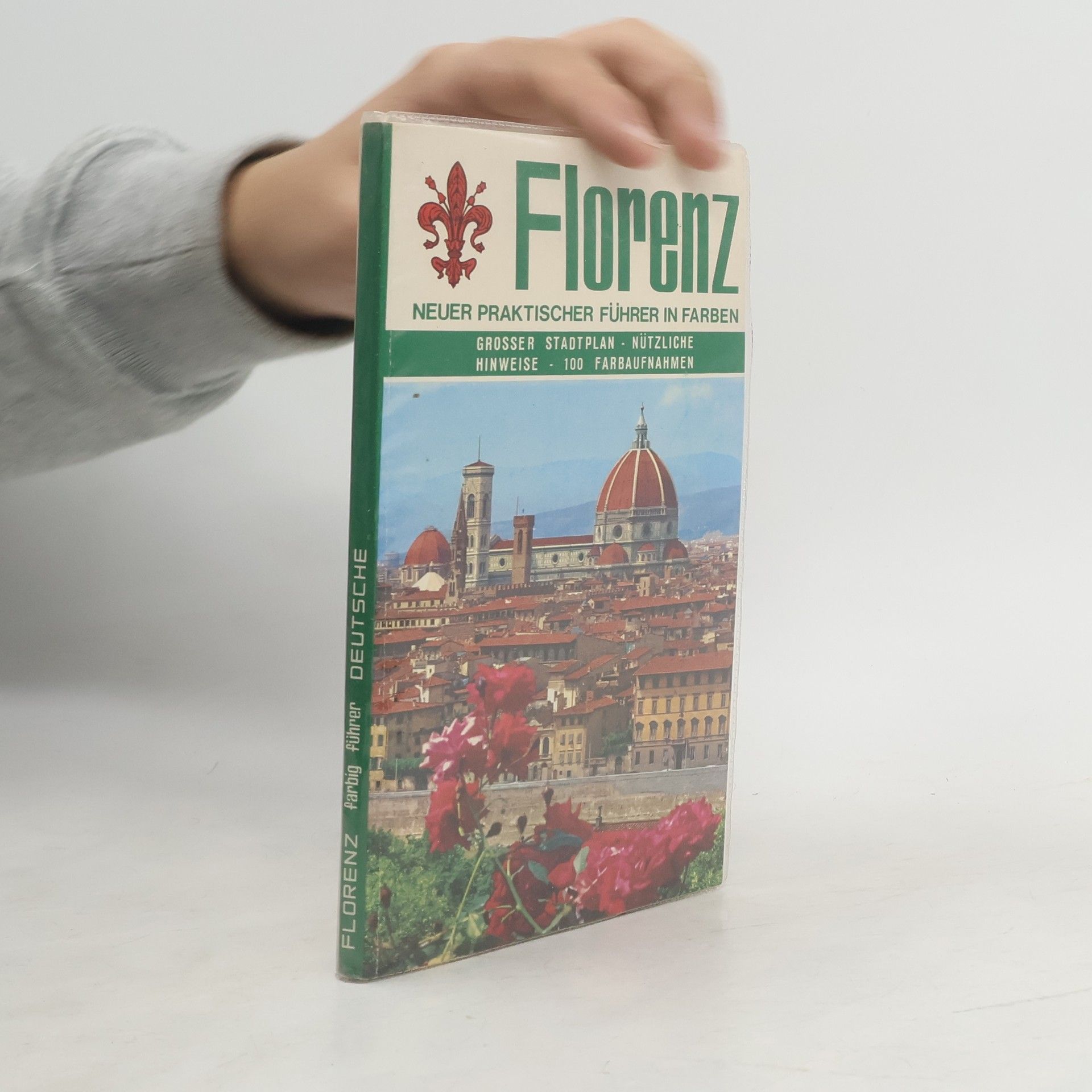 Loretta Santini Florenz. Neuer Praktischer Führer in Farben