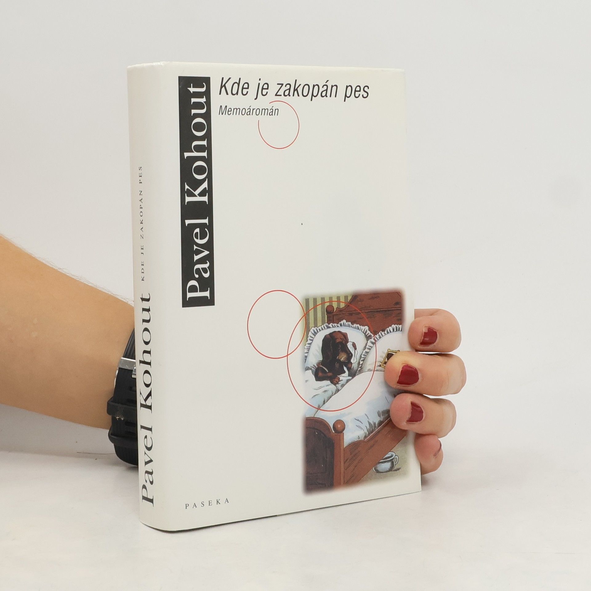 Pavel Kohout Kde je zakopán pes : memoáromán