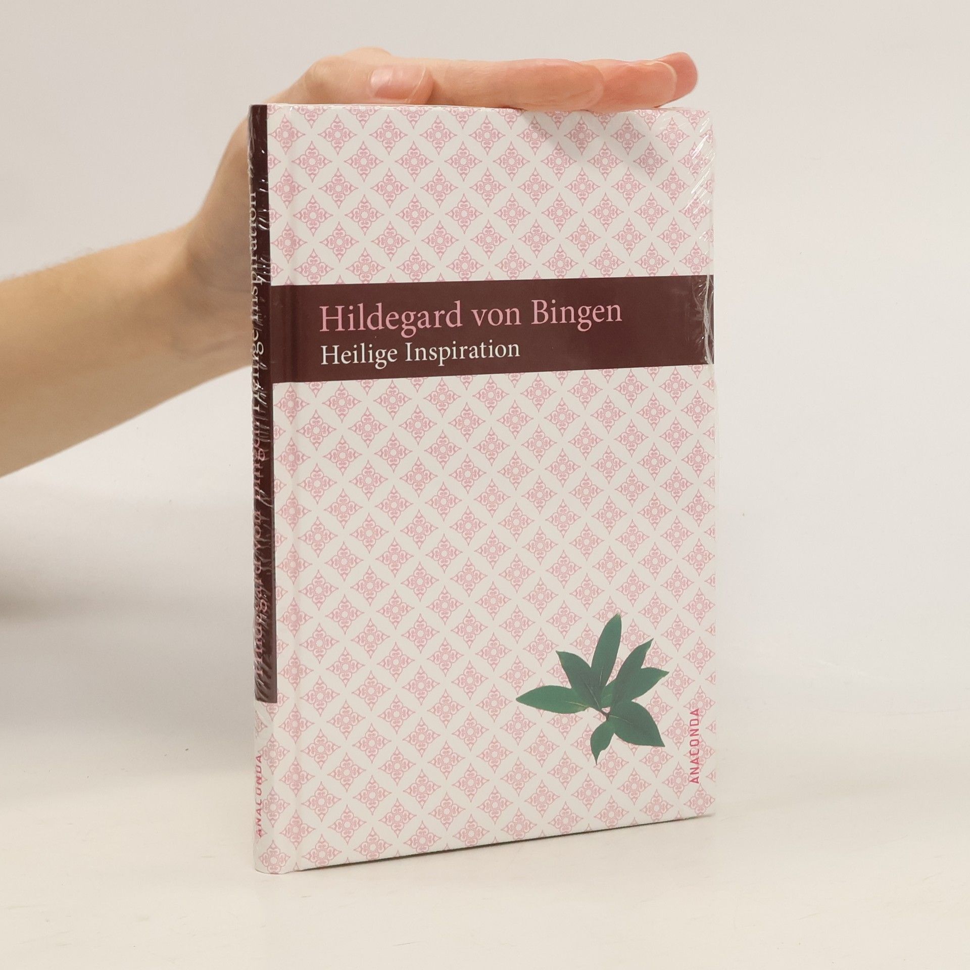 Hildegarda z Bingenu (svatá) Heilige Inspiration