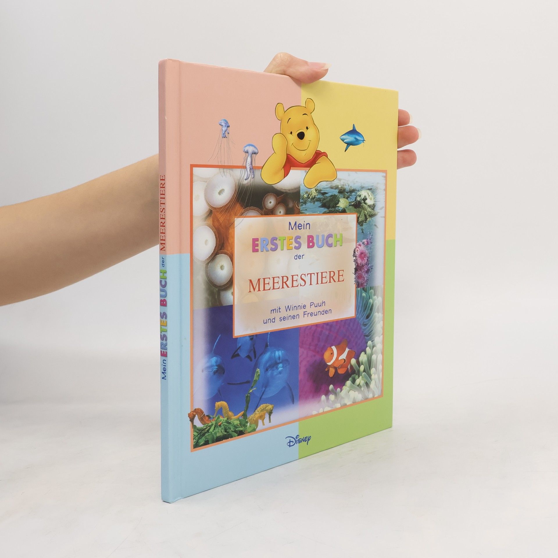 Kolektív autorov Mein erstes Buch der Meerestiere