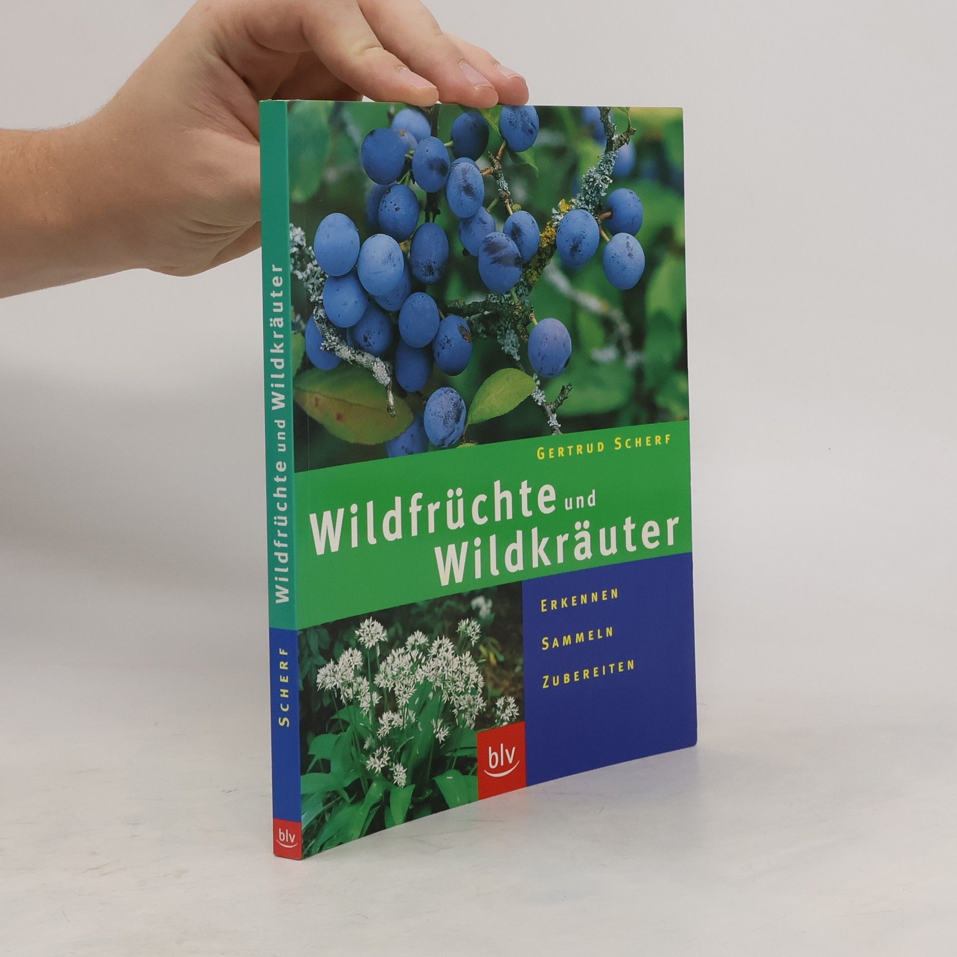 Gertrud Scherf Wildfrüchte und Wildkräuter