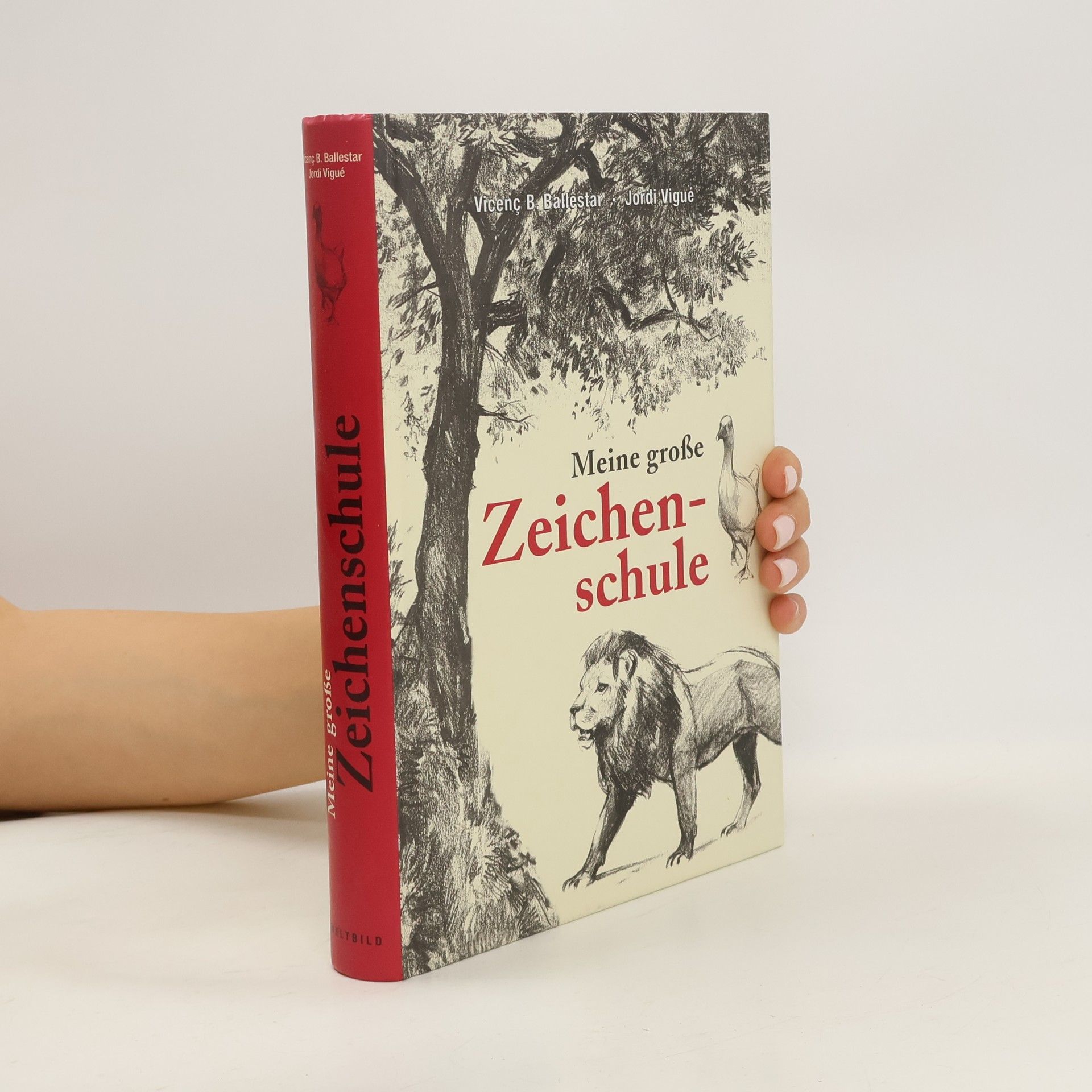 Meine große Zeichenschule