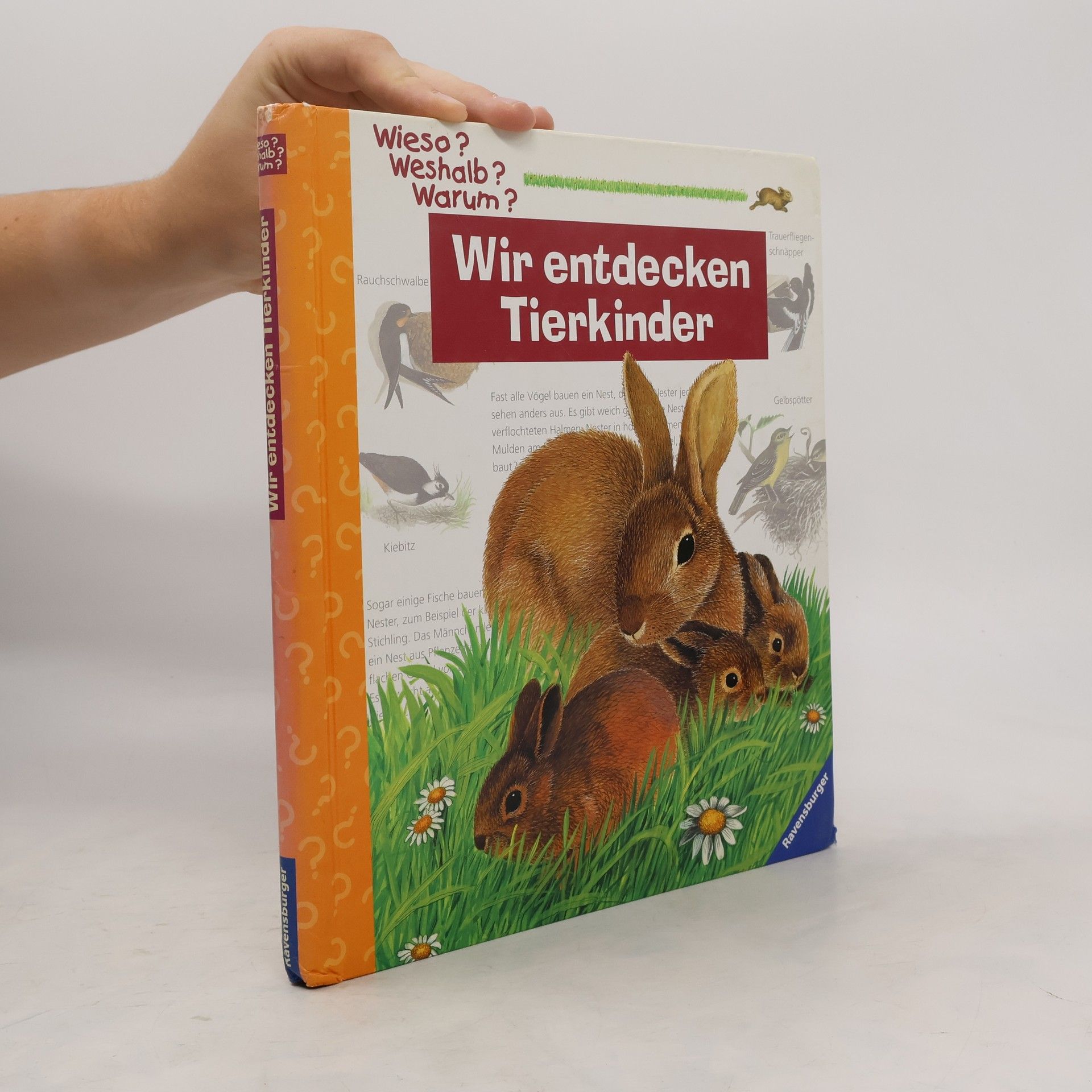 Wir entdecken Tierkinder