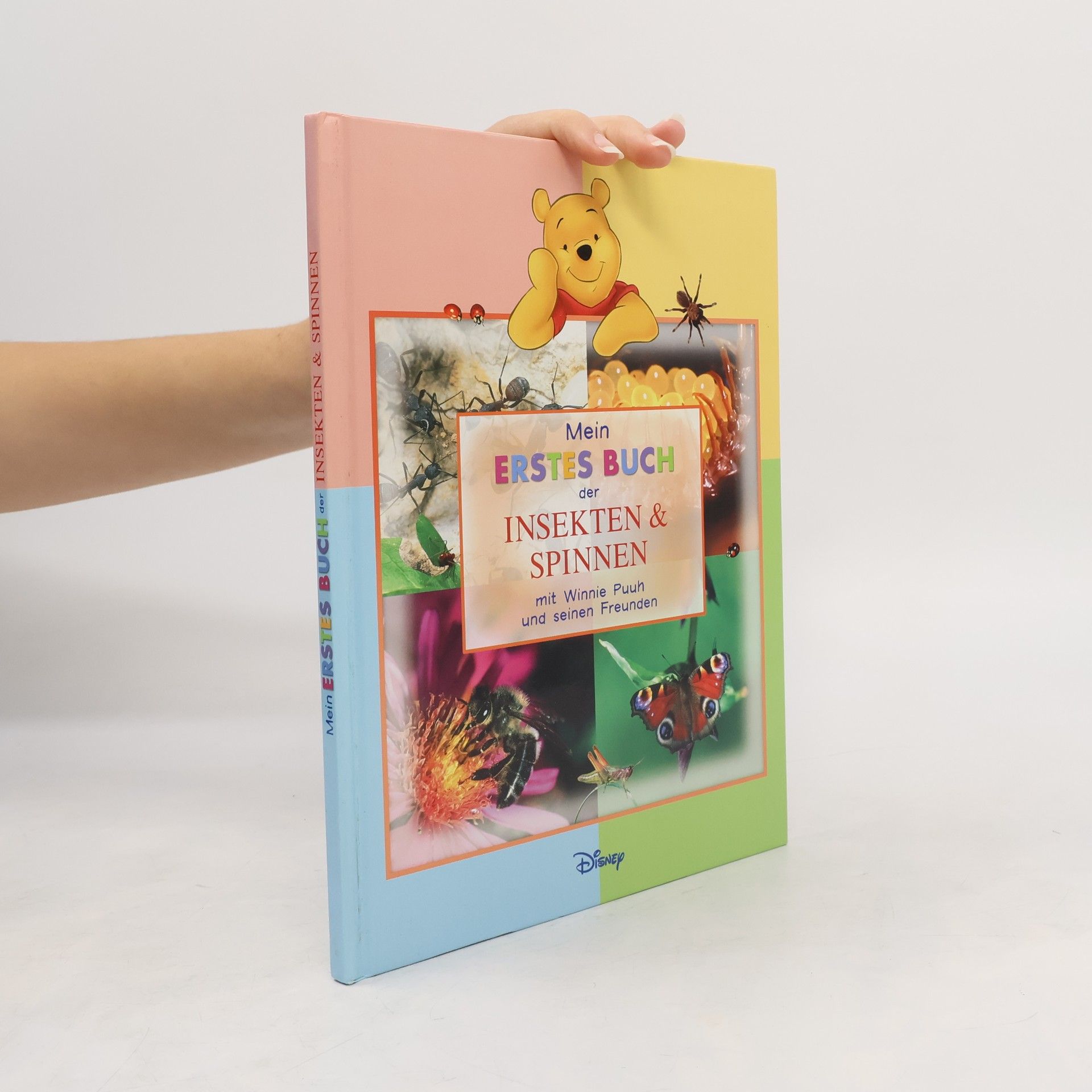 Autorenkollektiv Mein Erstes Buch der Insekten und Spinnen