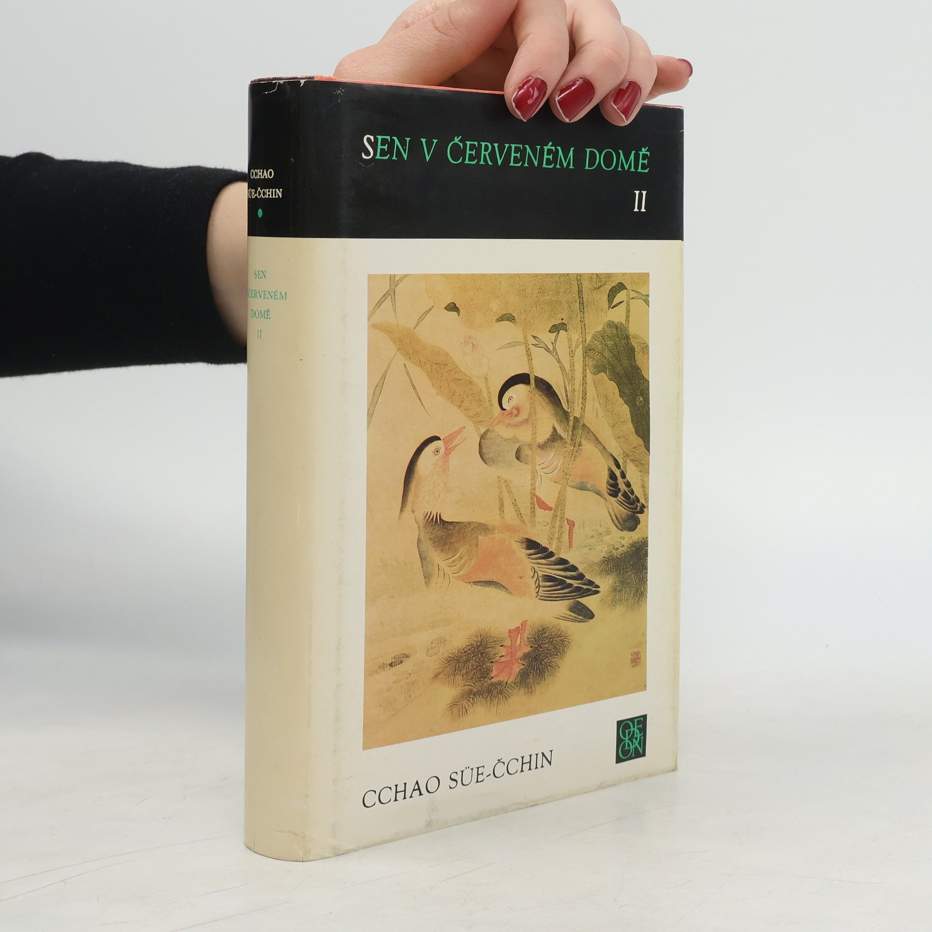 Sen v červeném domě II