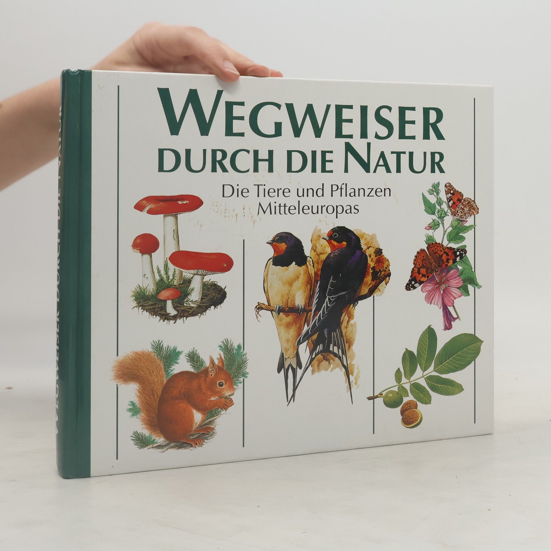 Collectif d'auteurs Wegweiser durch die Natur. Die Tiere und Pflanzen Mitteleuropas