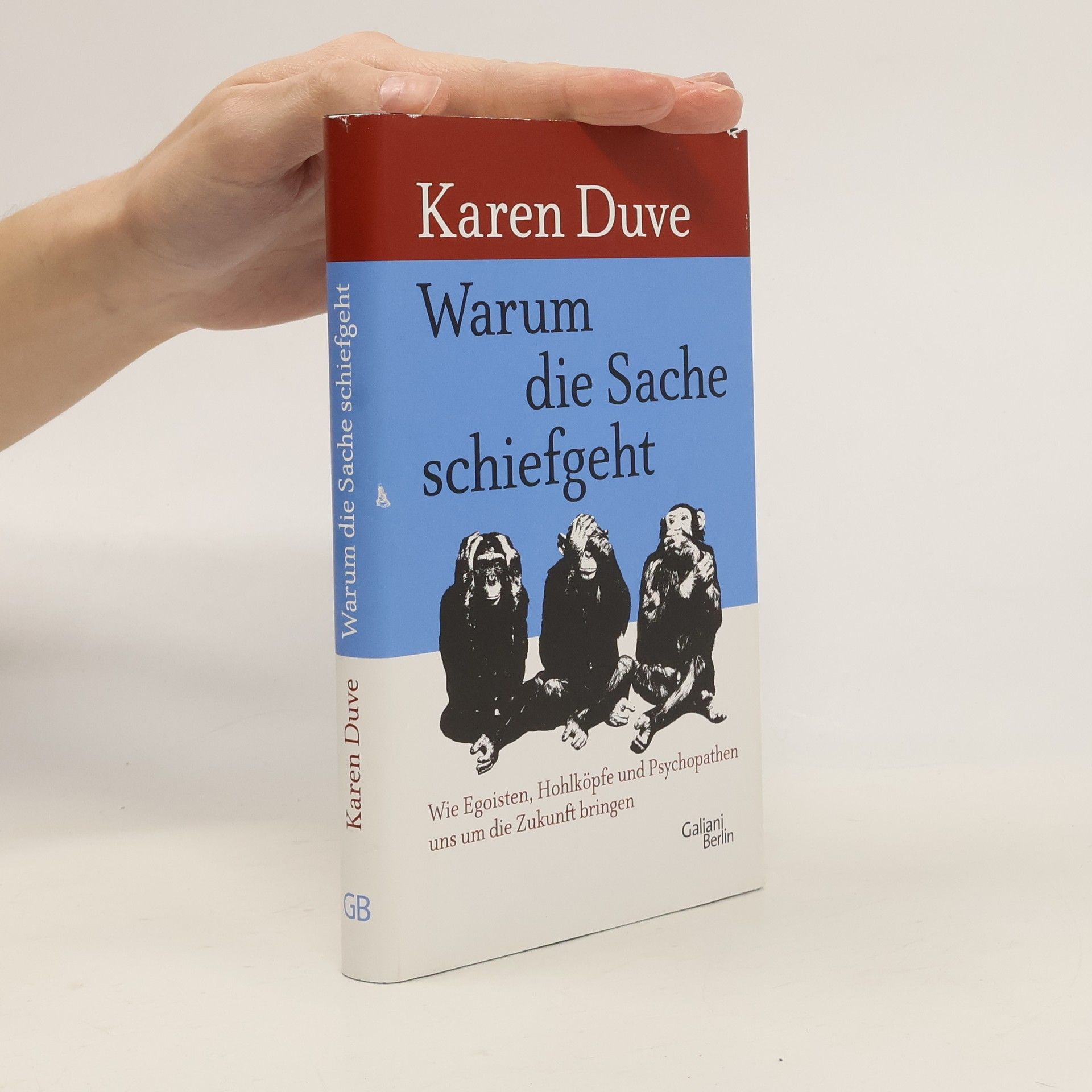 Karen Duve Warum die Sache schief geht