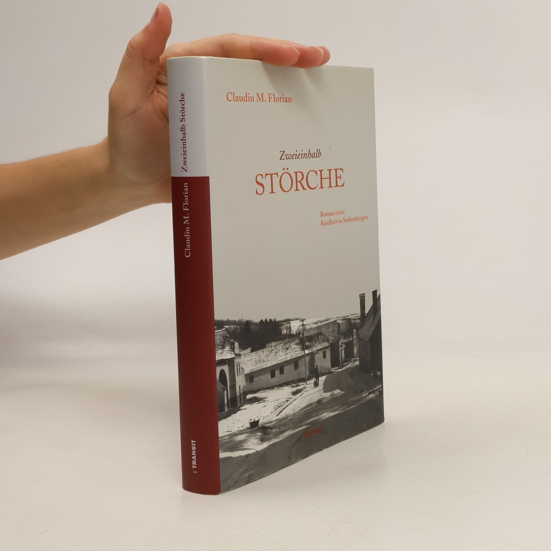 Claudiu M. Florian Zweieinhalb Störche