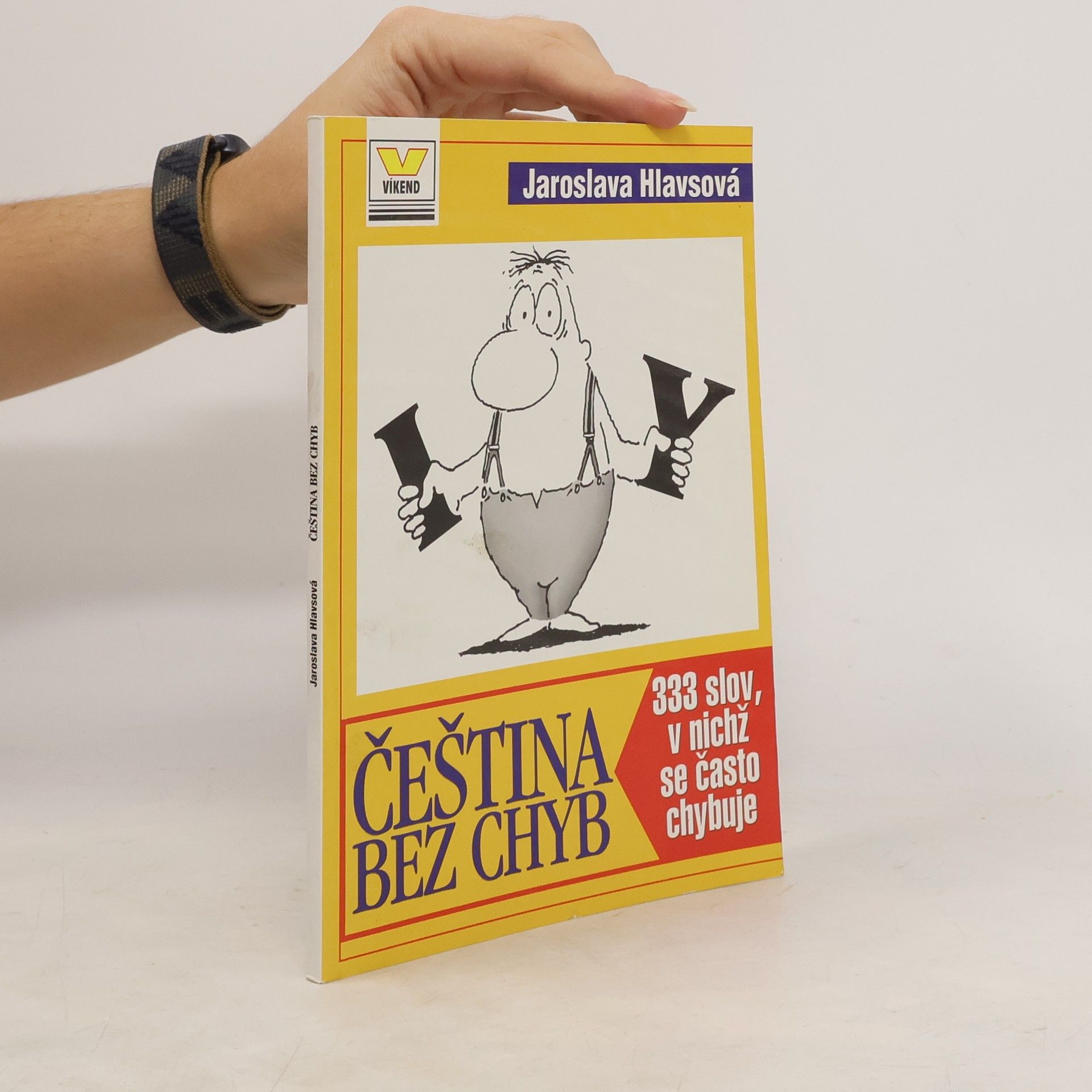 Čeština bez chyb : 333 slov, v nichž se často chybuje