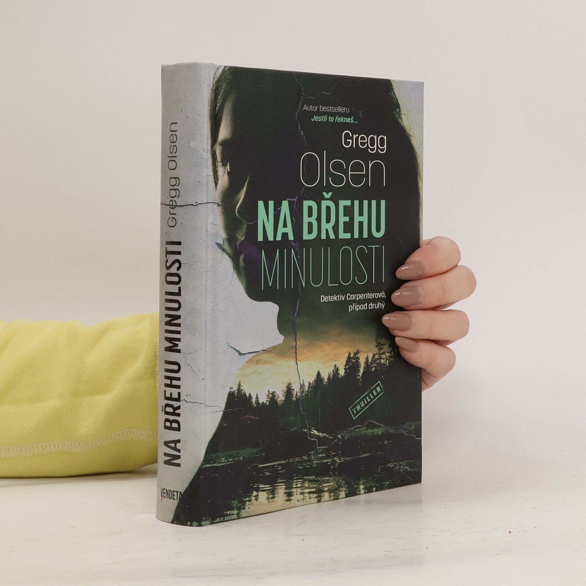 Gregg Olsen Na břehu minulosti