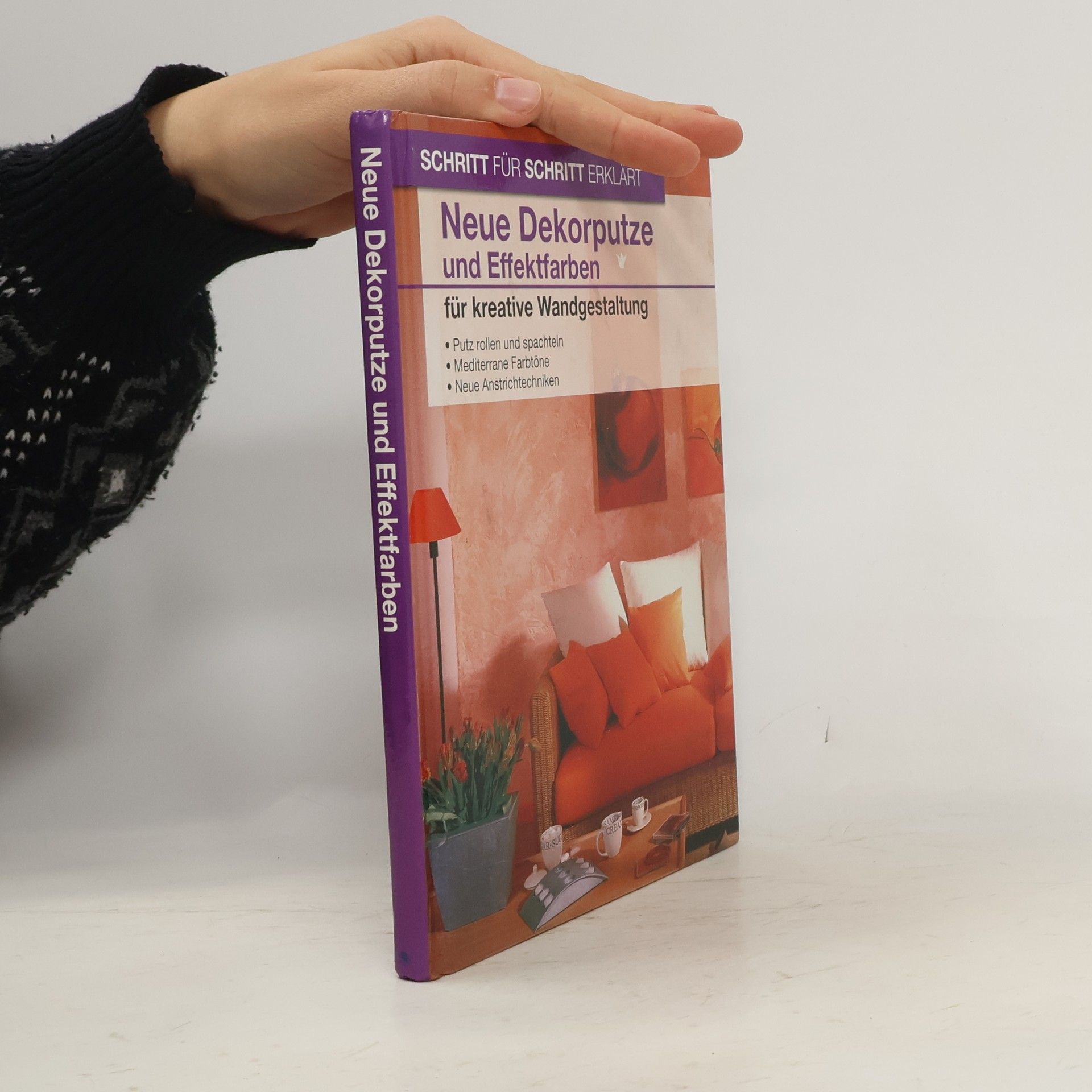 Collectif d'auteurs Neue Dekorputze und Effektfarben