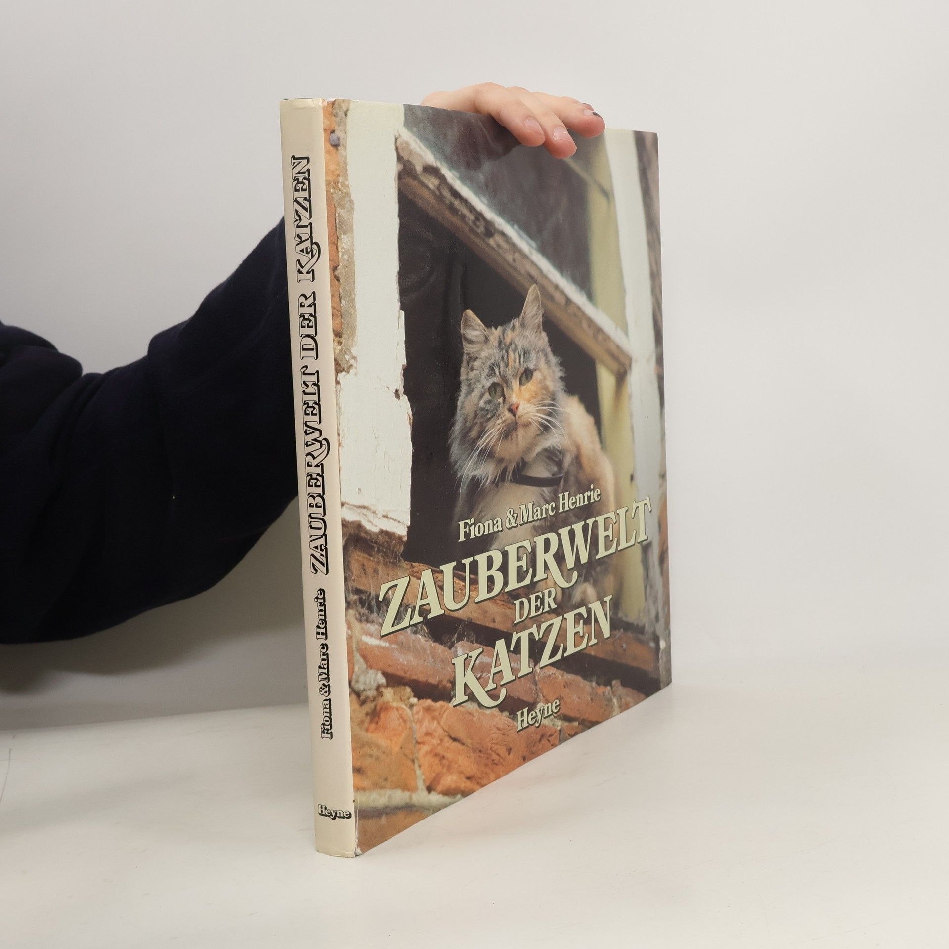 Zauberwelt der Katzen