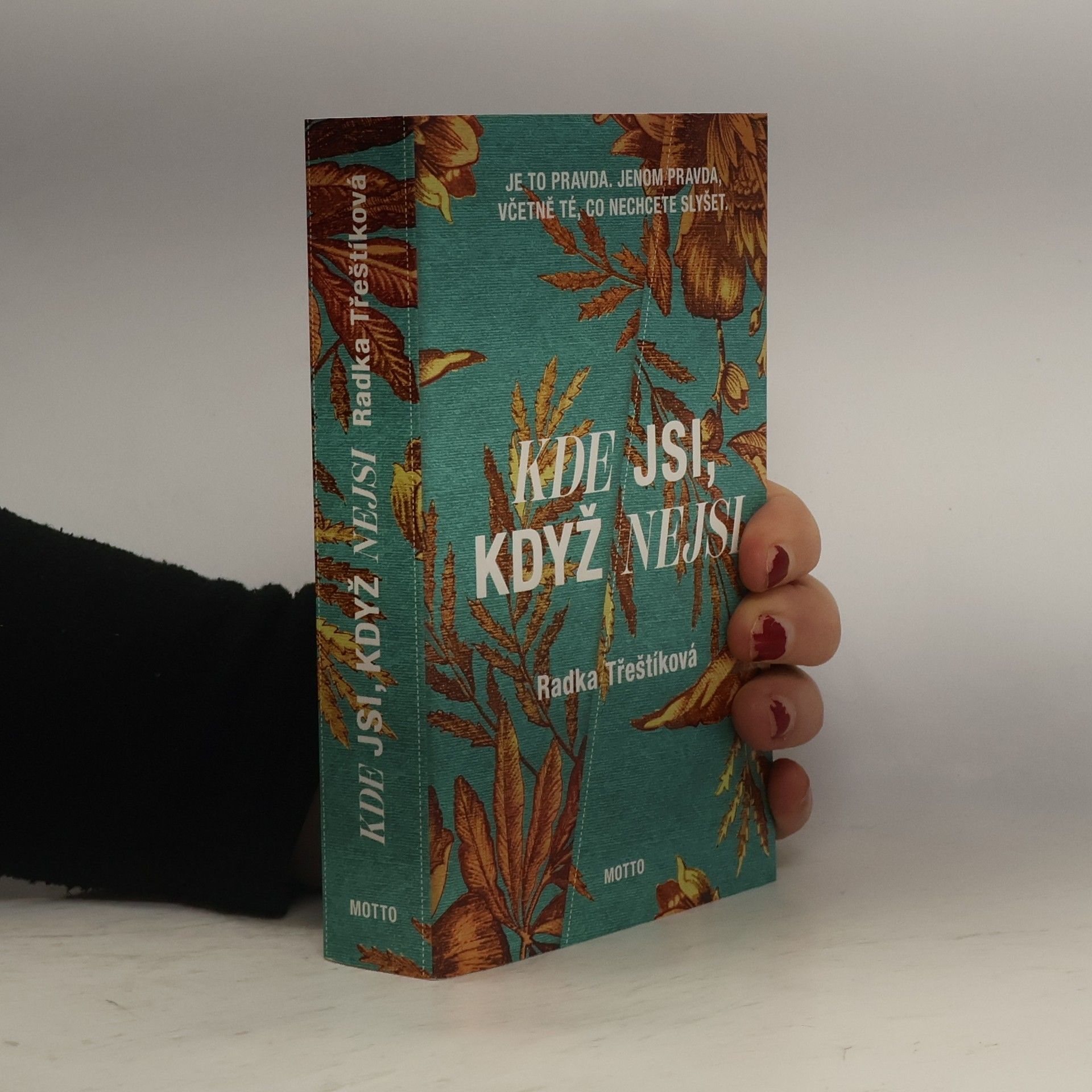 Radka Třeštíková Kde jsi, když nejsi