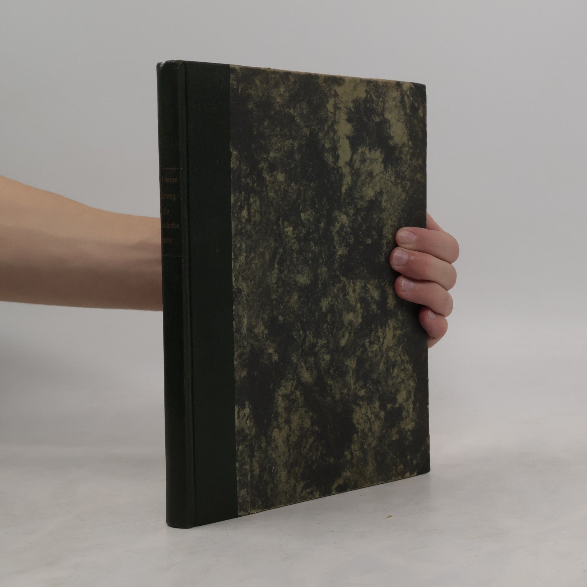 Georg Friesen Einführung in die anorganische Chemie