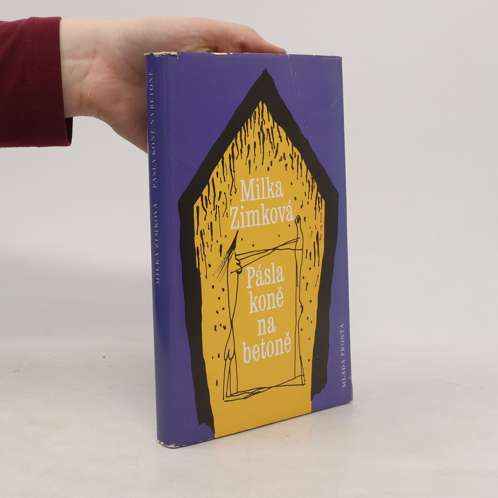 Milka Zimková Pásla koně na betoně