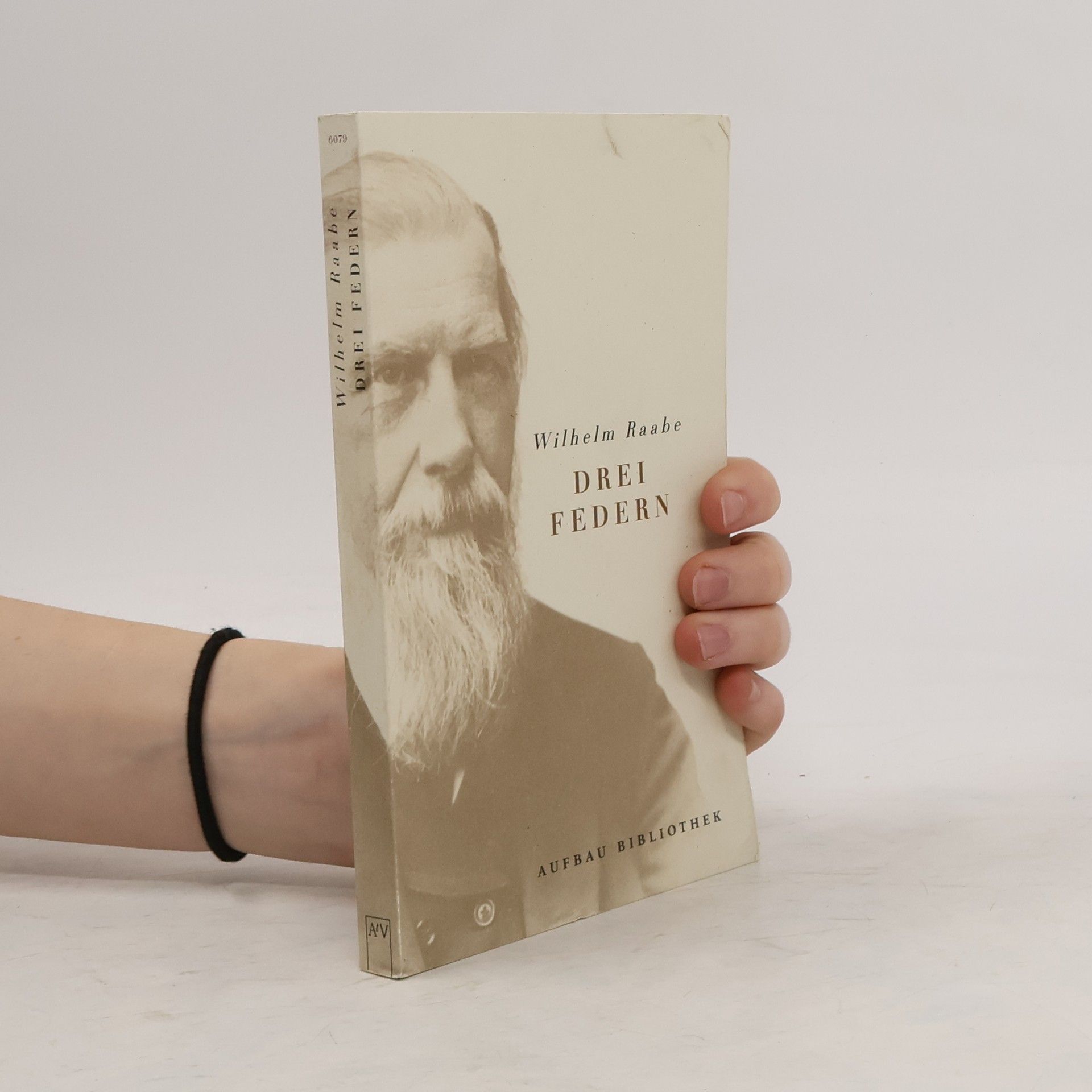 Wilhelm Hauff Drei Federn