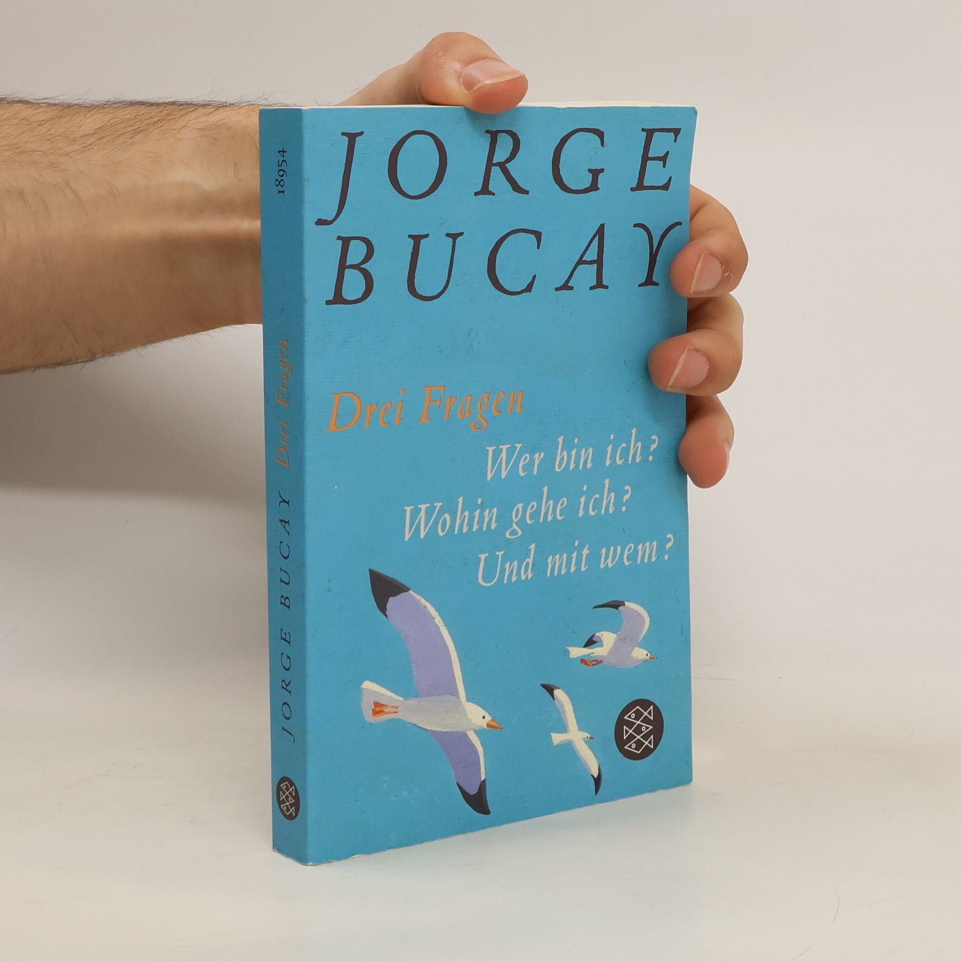 Jorge Bucay Drei Fragen