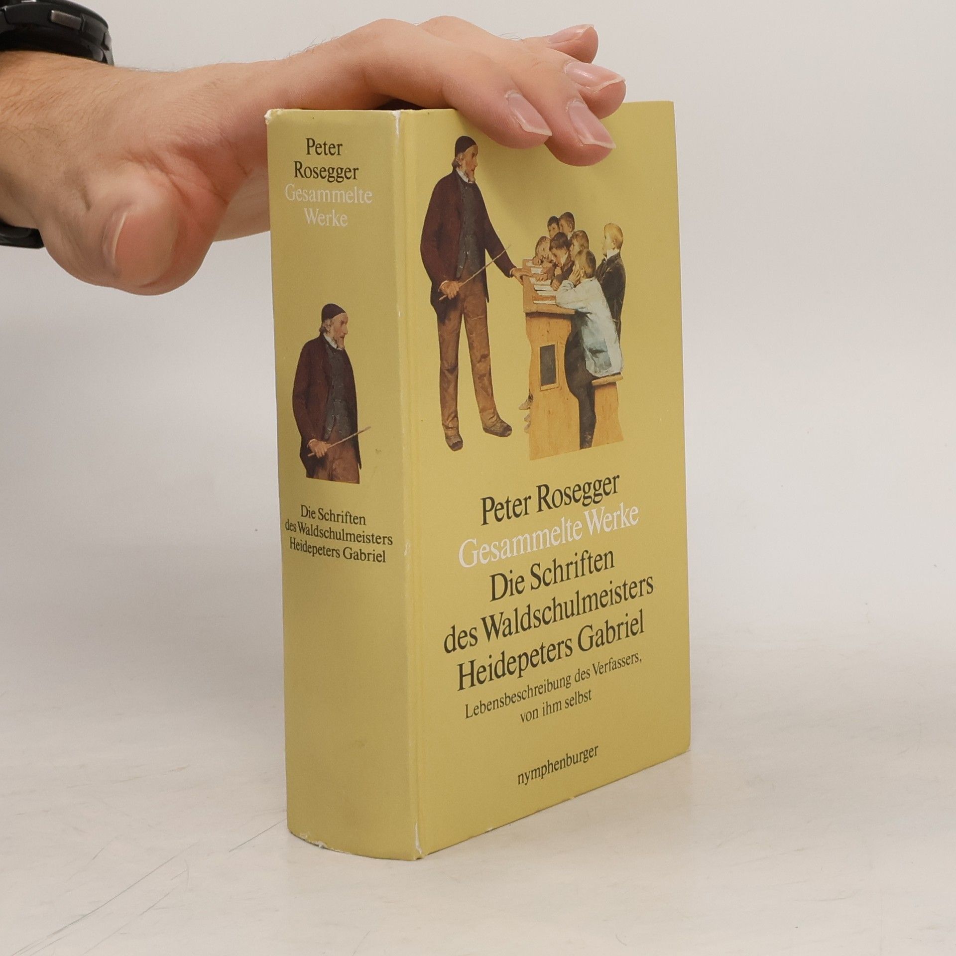 Peter Rosegger Gesammelte Werke 1. Die Schriften des Waldschulmeisters Heidepeters Gabriel