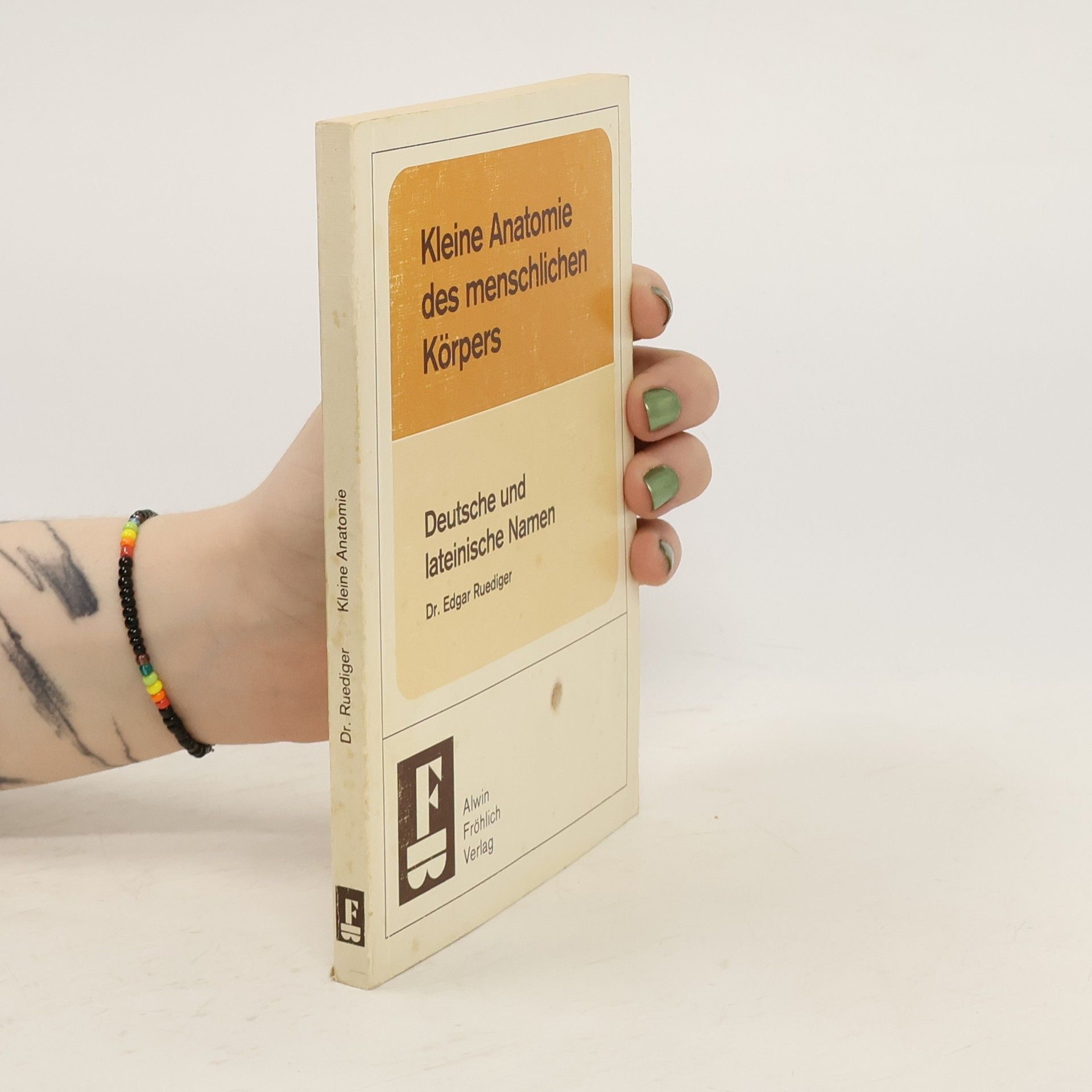 Kleine Anatomie des menschlichen Körpers