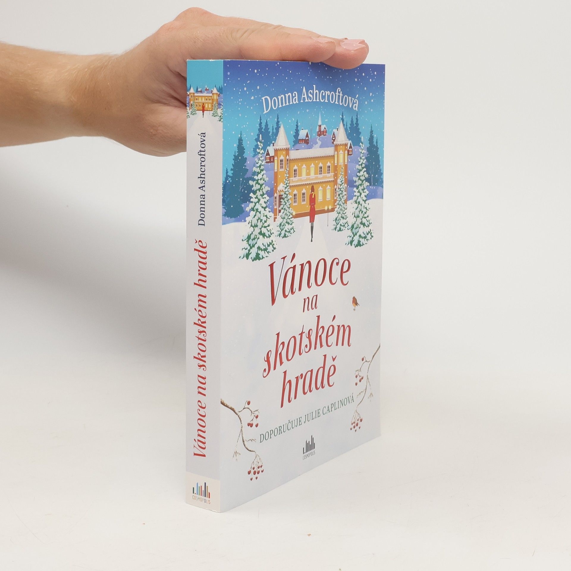 Donna Ashcroft Vánoce na skotském hradě