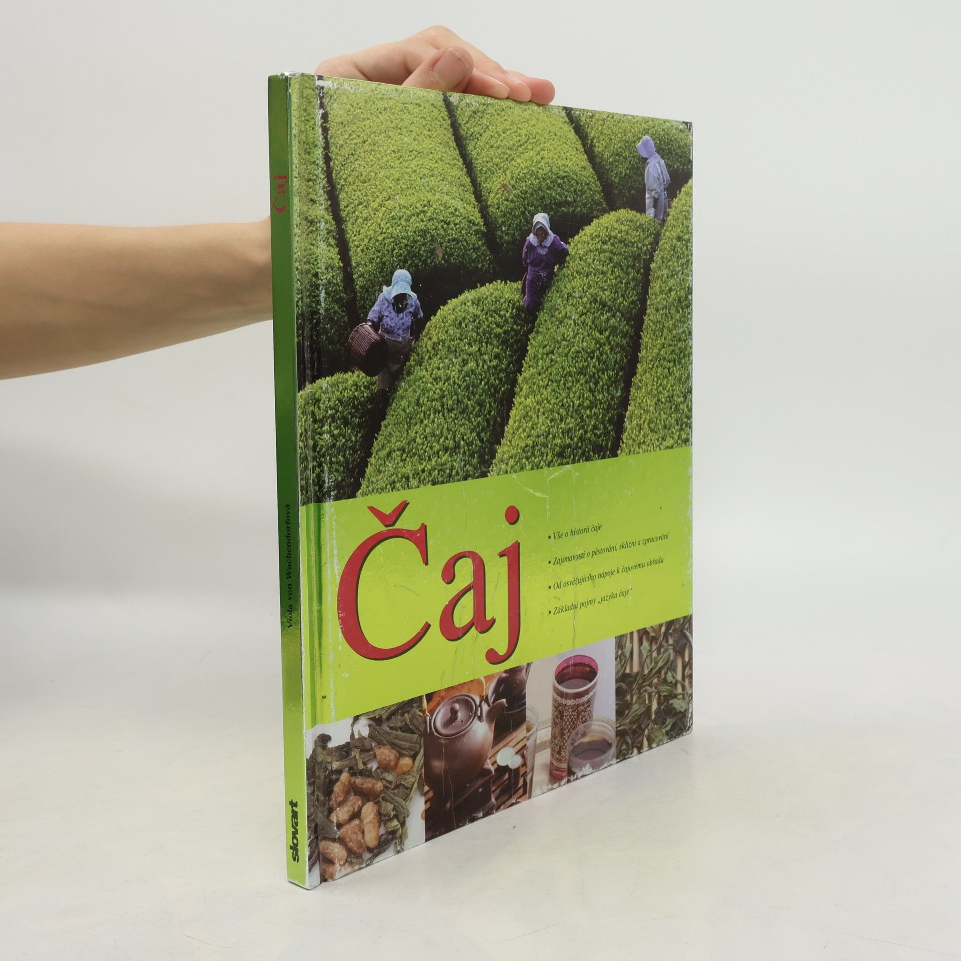 Viola von Wachendorf Čaj