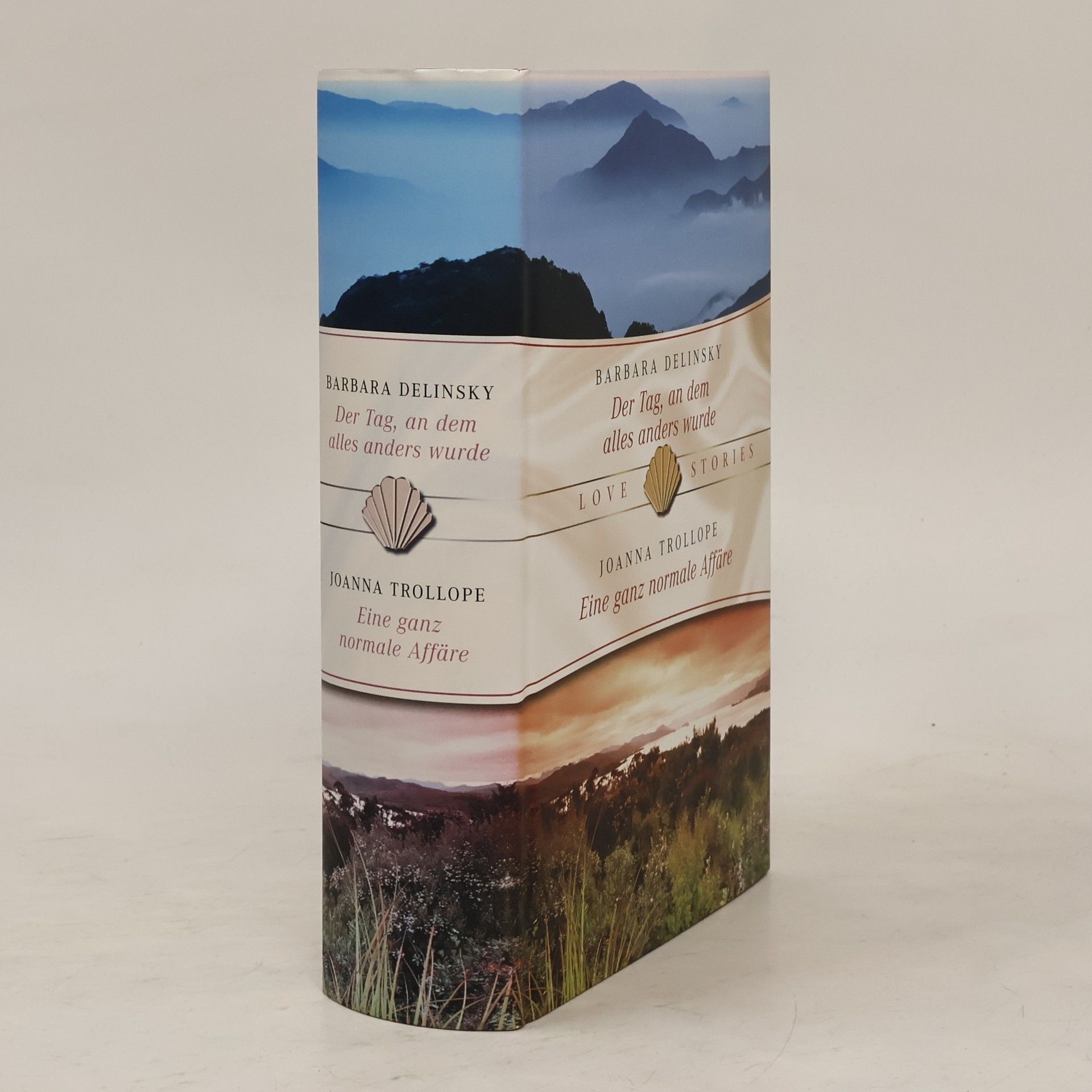 Barbara Delinsky Der Tag, an dem alles anders wurde. Eine ganz normale Affäre