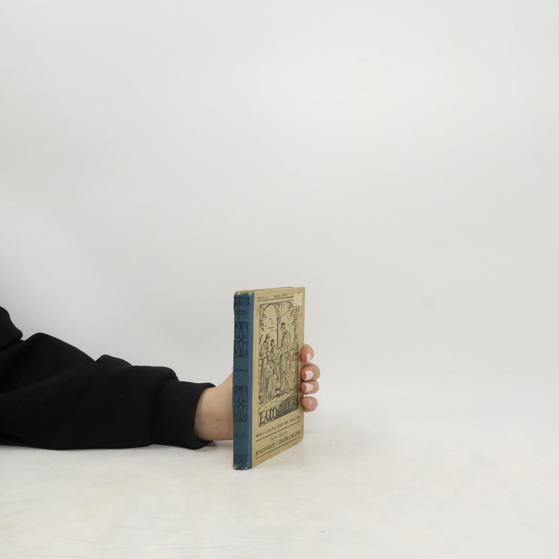 Nevlastní bratři. Ztraceno a nalezeno