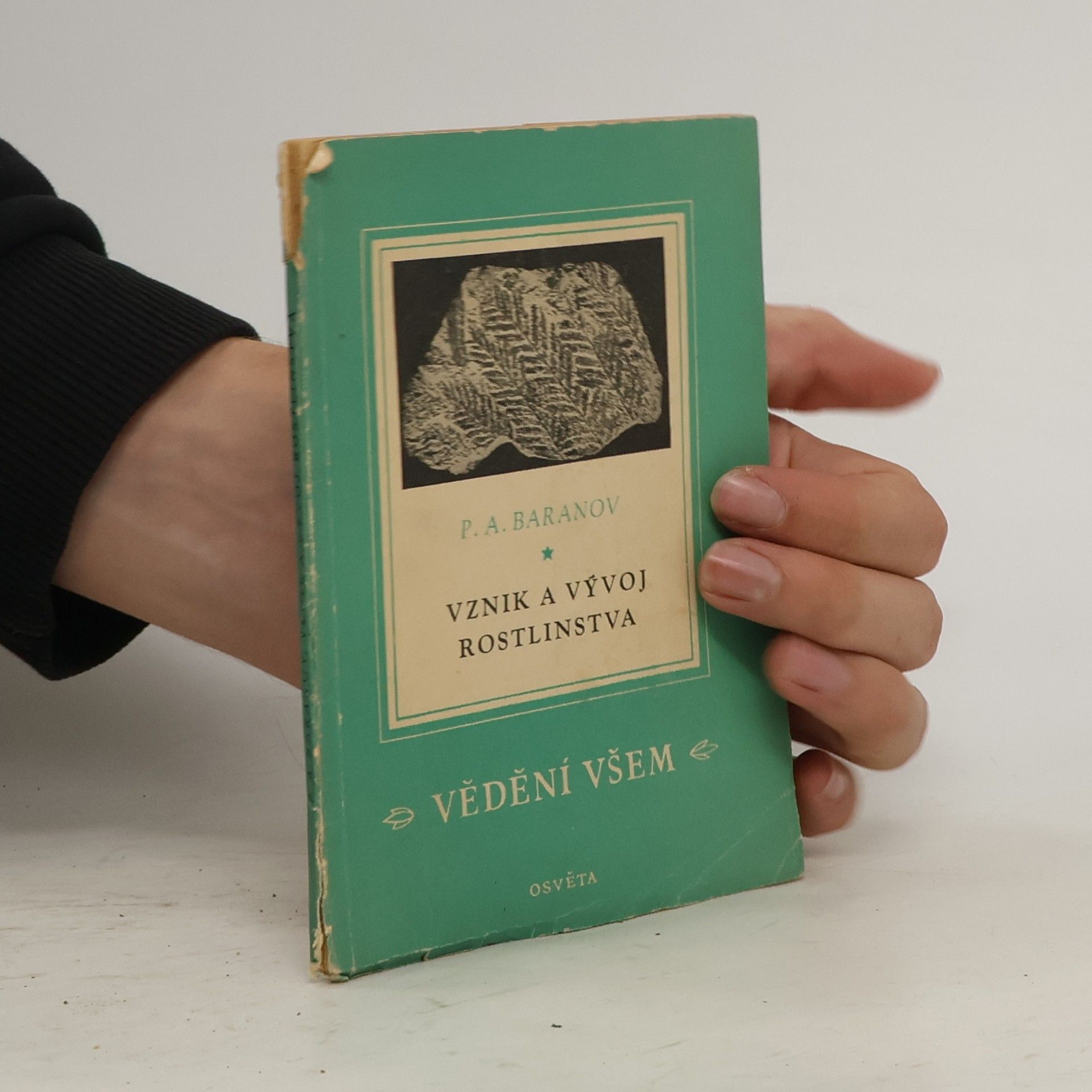 Pavel Aleksandrovič Baranov Vznik a vývoj rostlinstva