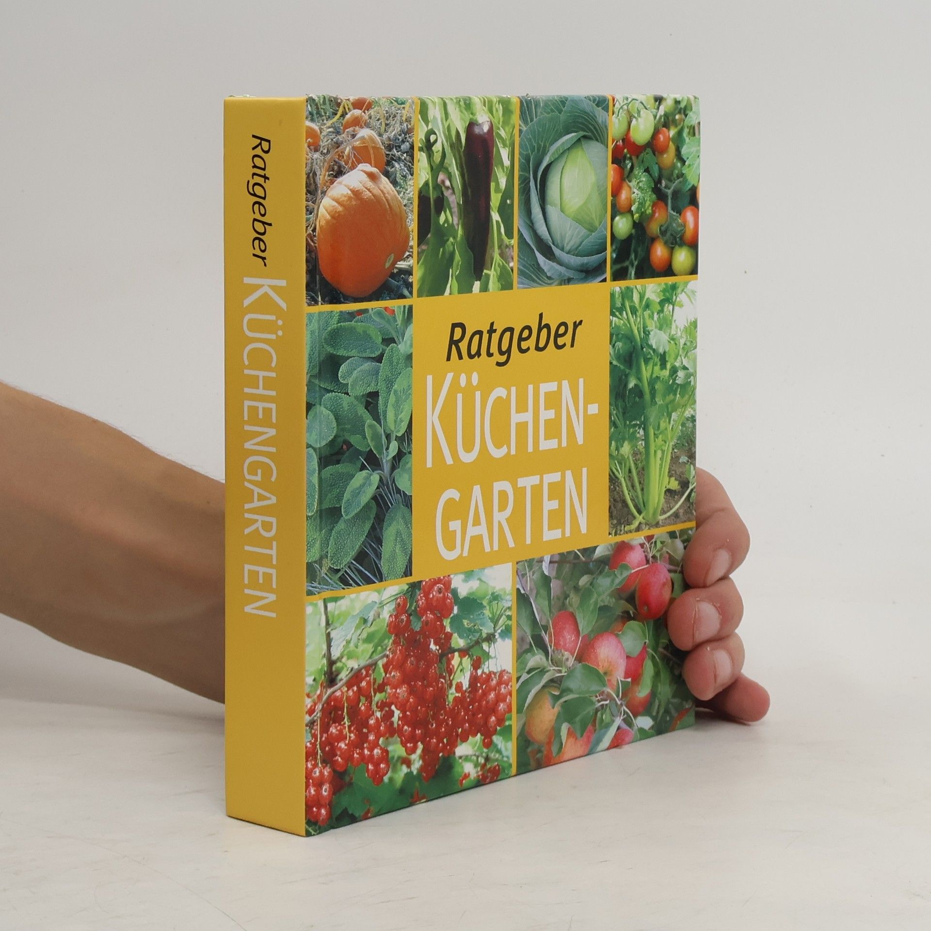 Collectif d'auteurs Ratgeber Küchengarten