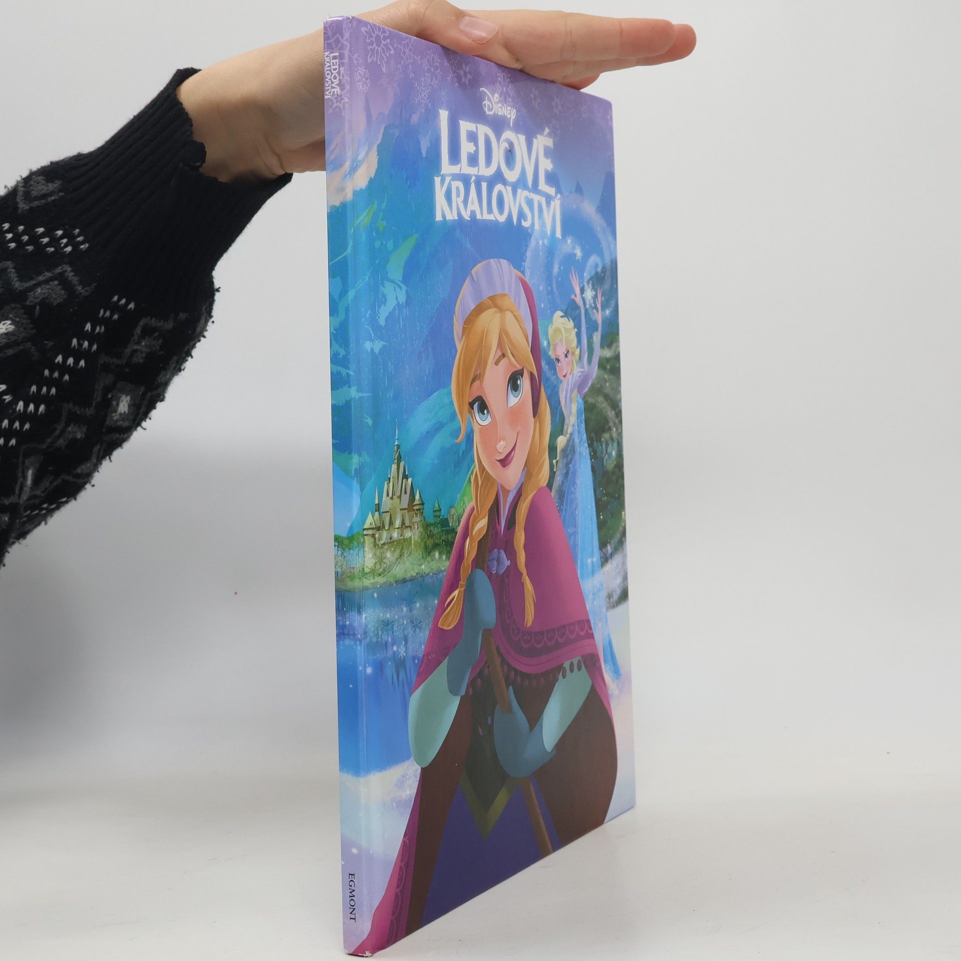 Kolektiv autorů Ledové království