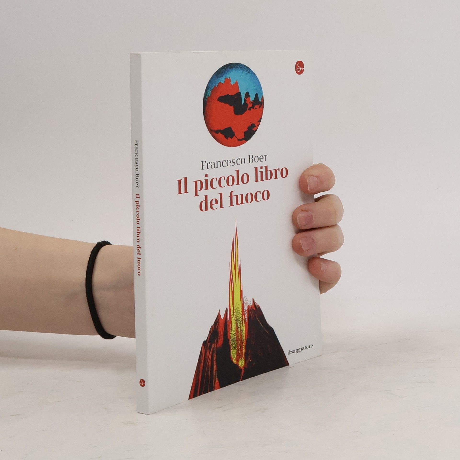 Francesco Boer Il piccolo libro del fuoco