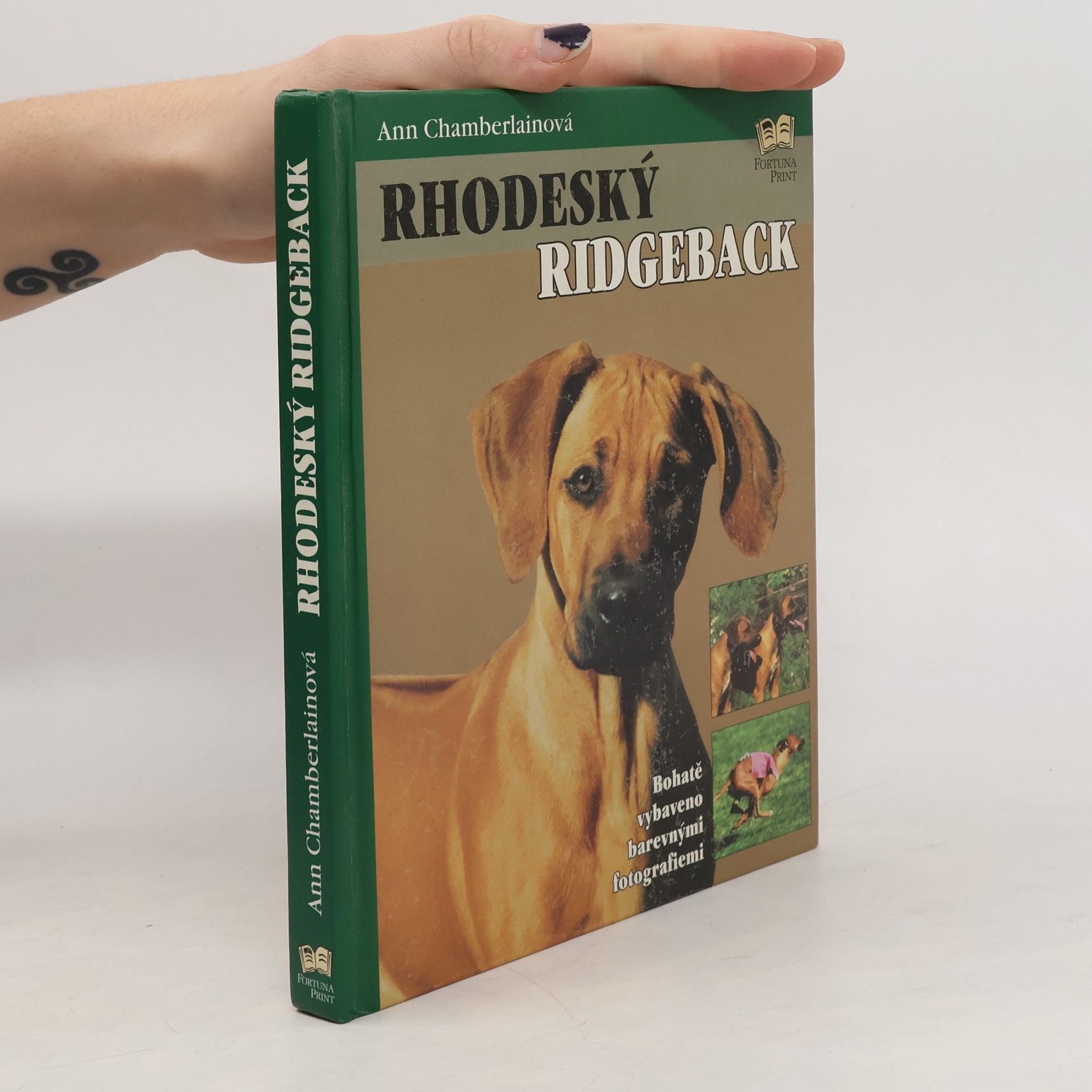 Rhodeský ridgeback