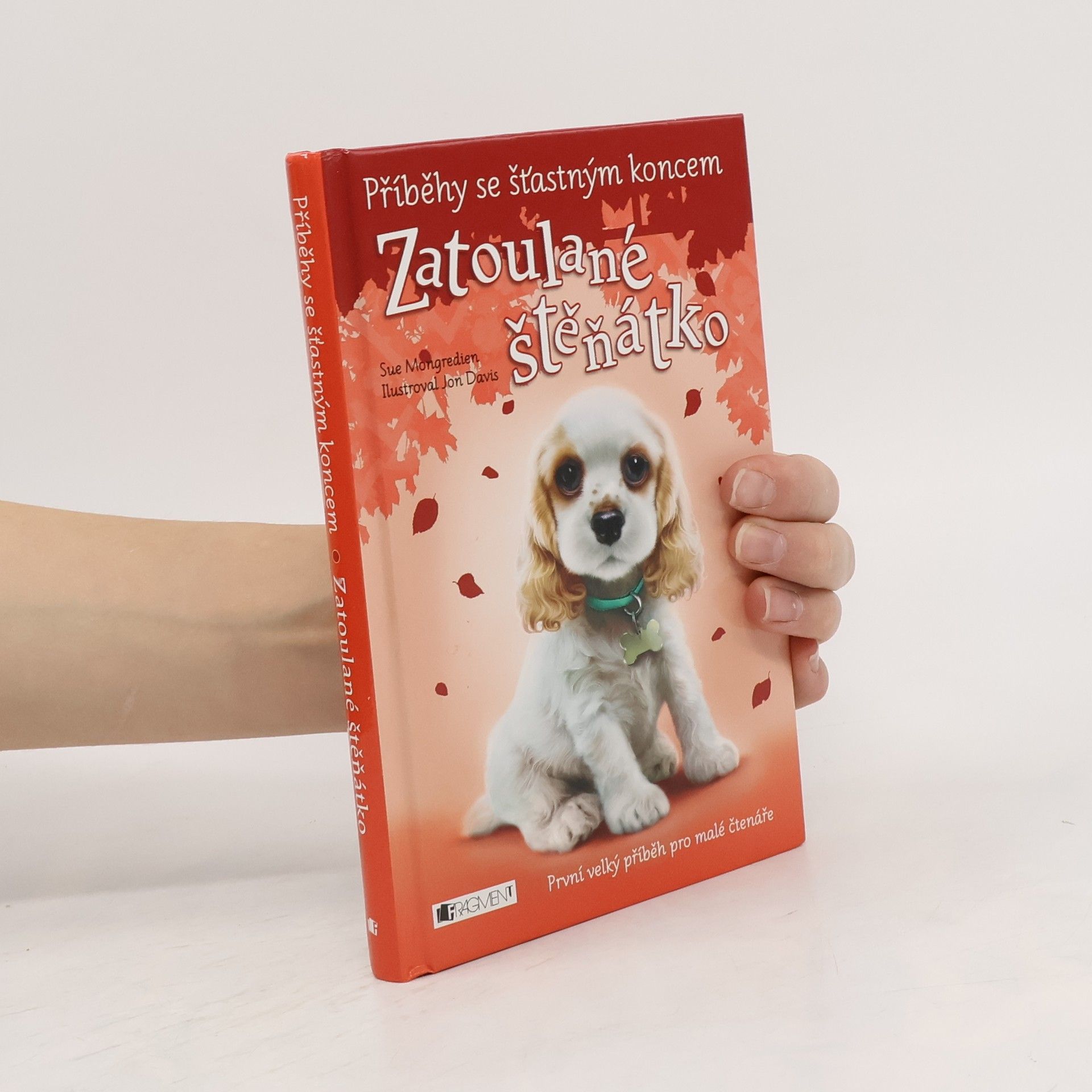 Jon Davis Zatoulané štěňátko