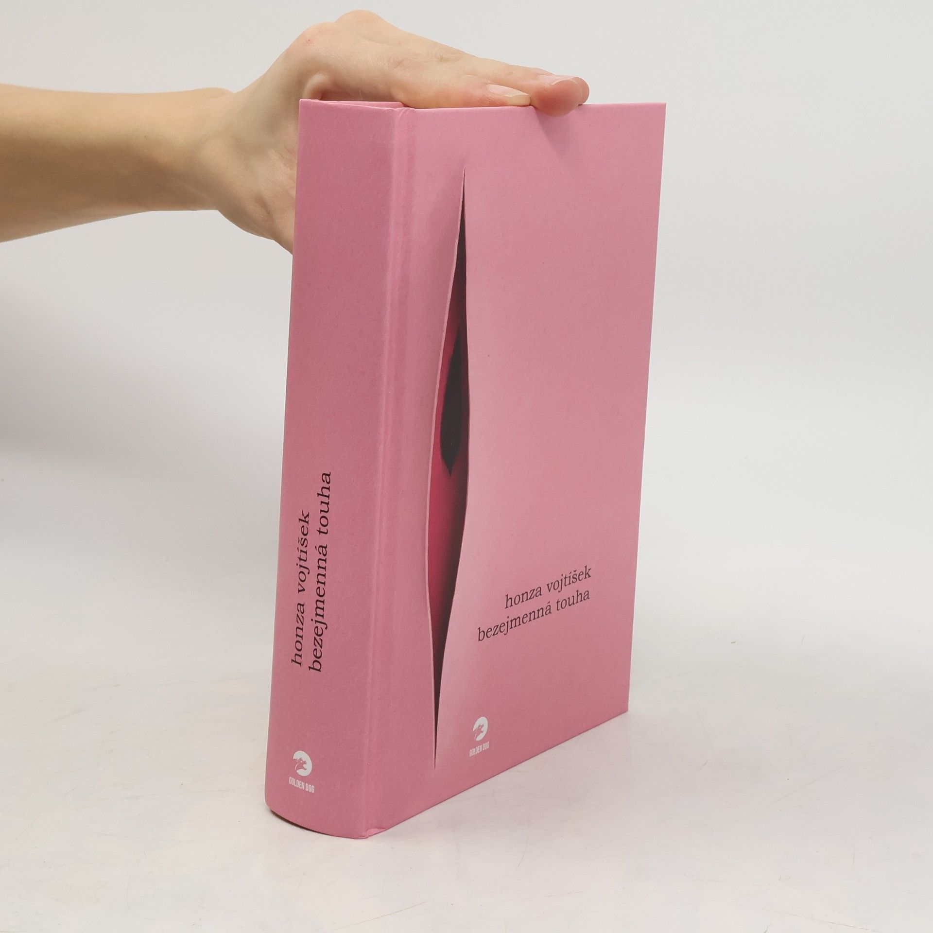 Honza Vojtíšek Bezejmenná touha