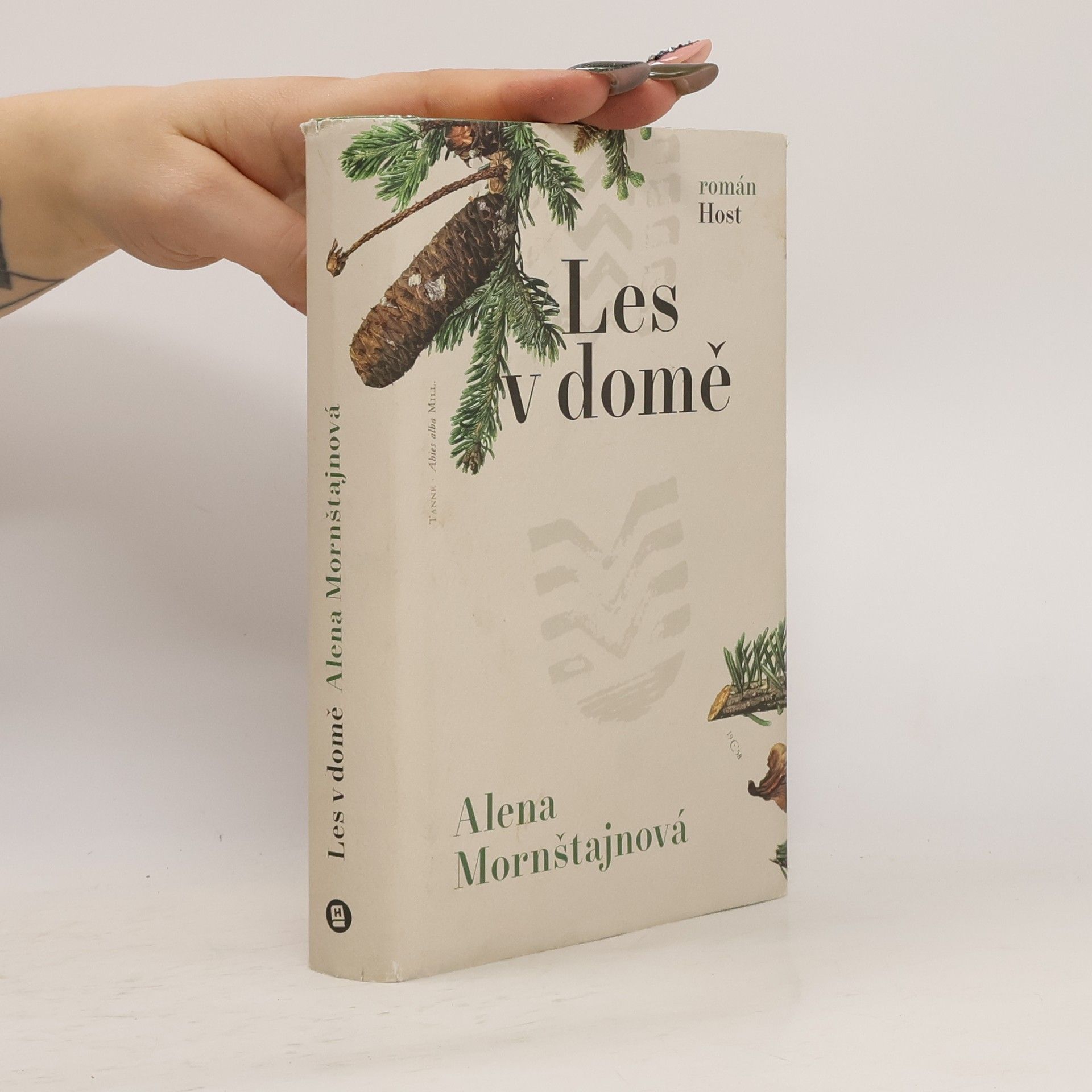 Alena Mornštajnová Les v domě