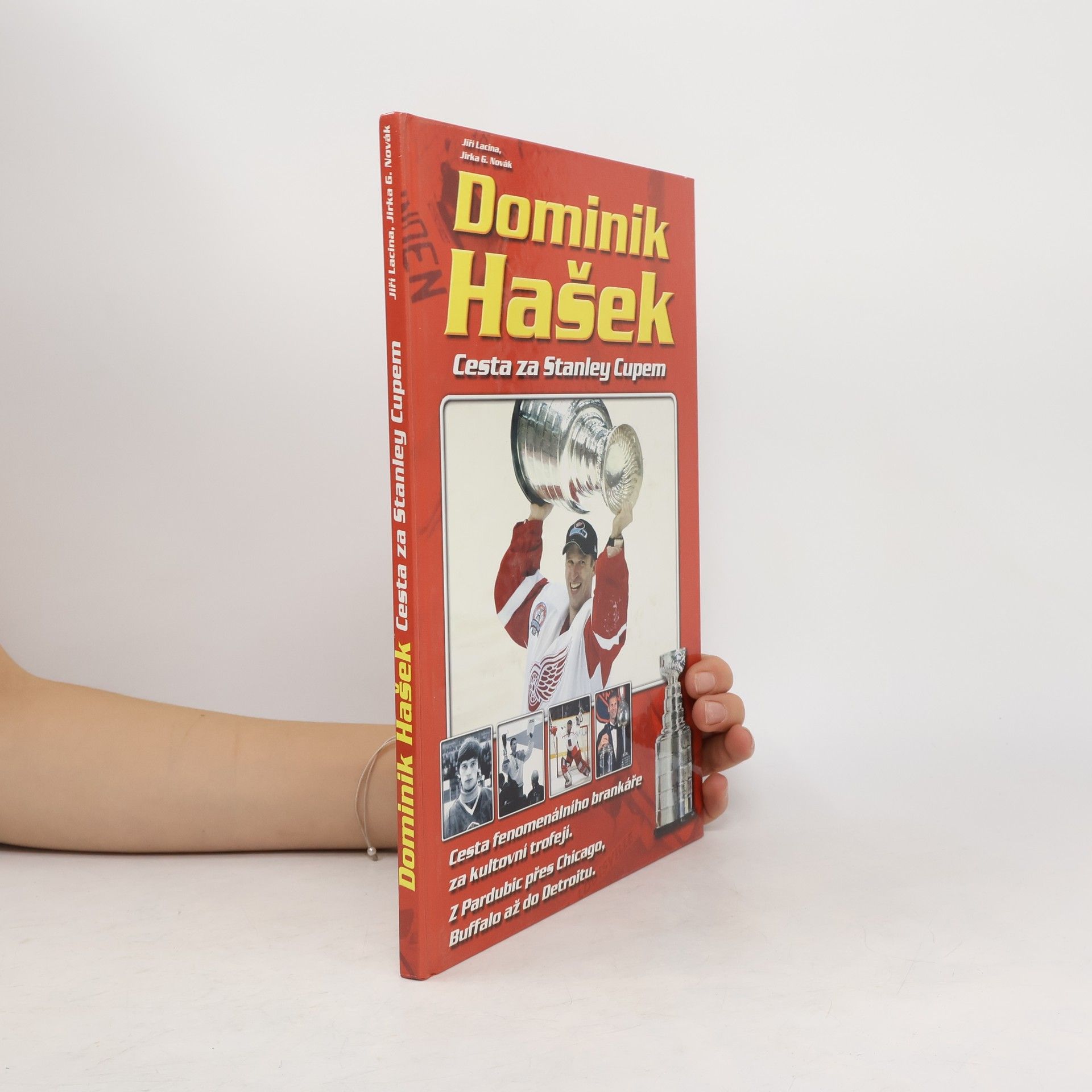 Dominik Hašek. Cesta za Stanley Cupem