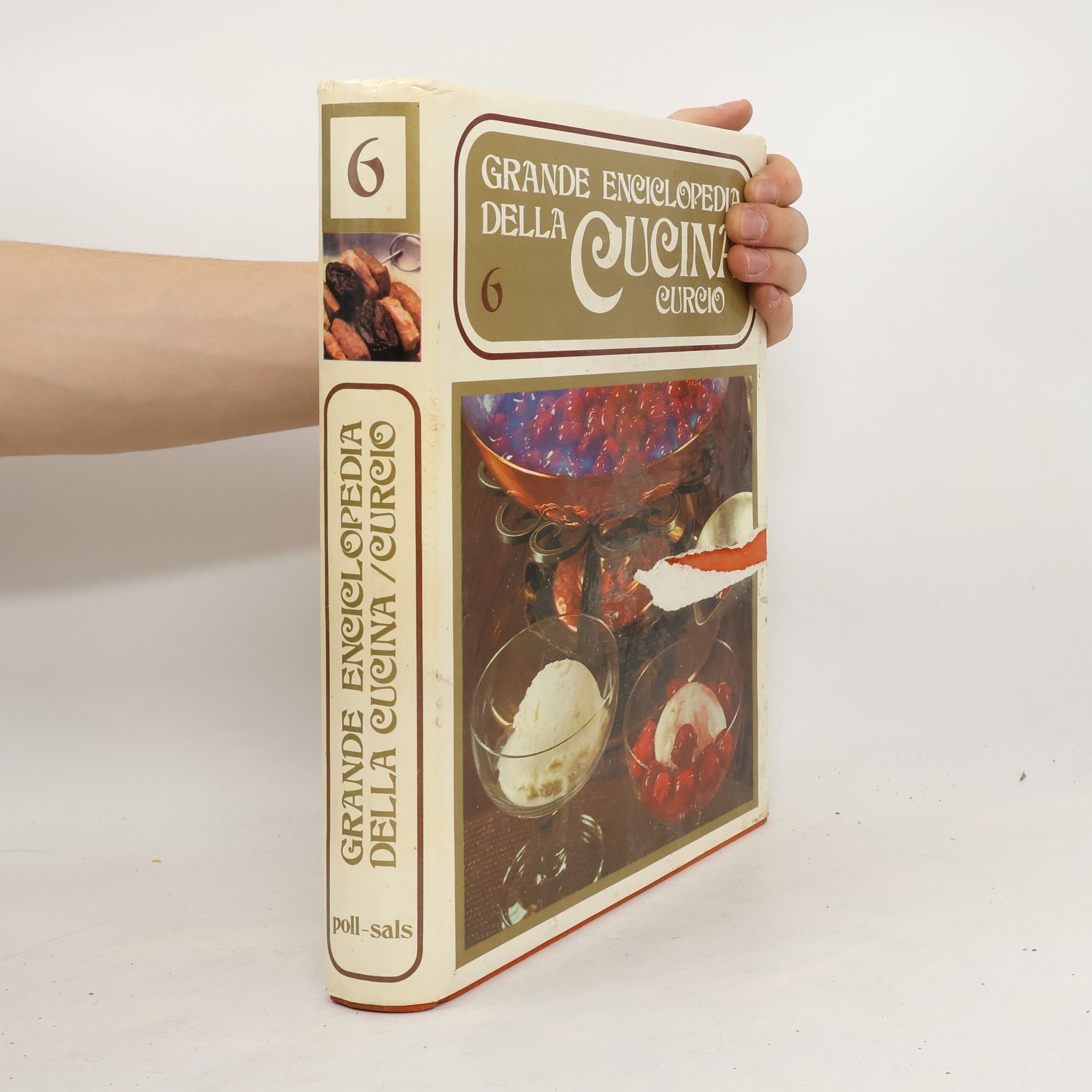 Auteurscollectief Grande Enciclopedia della Cucina 6. Poll-Sals