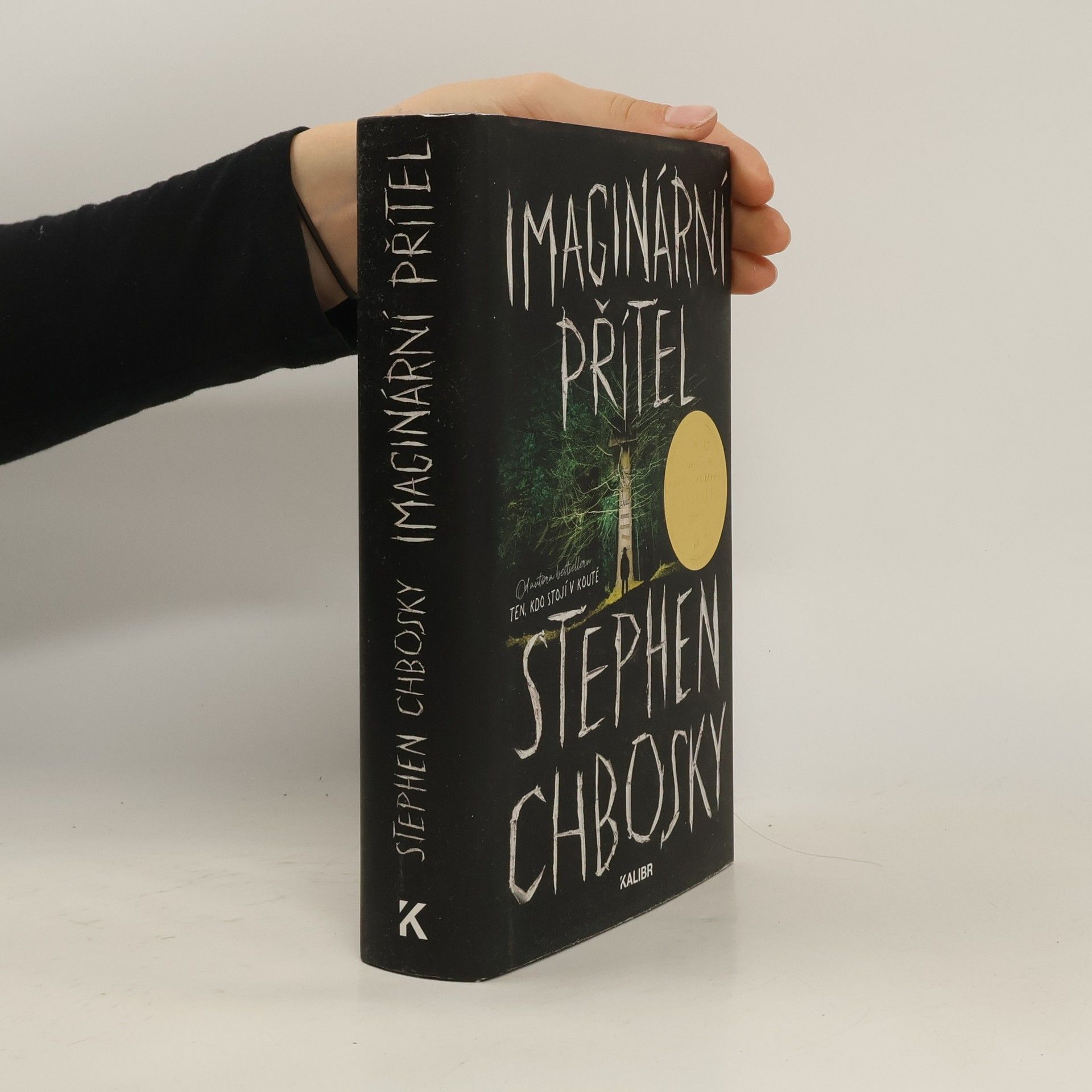 Stephen Chbosky Imaginární přítel