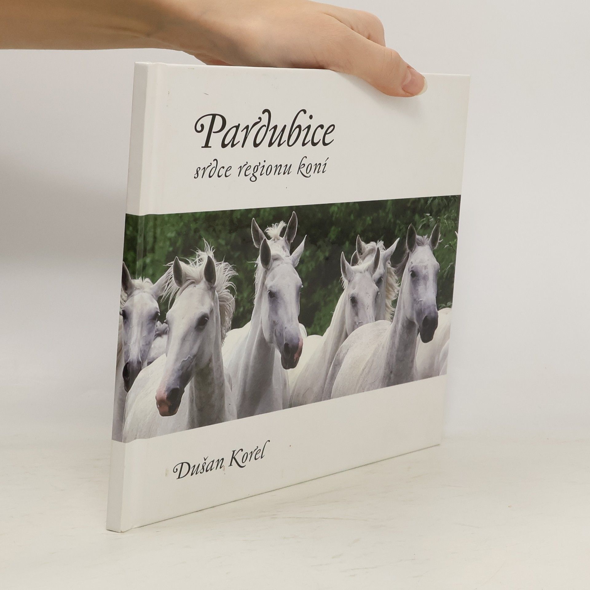Pardubice. Srdce regionu koní